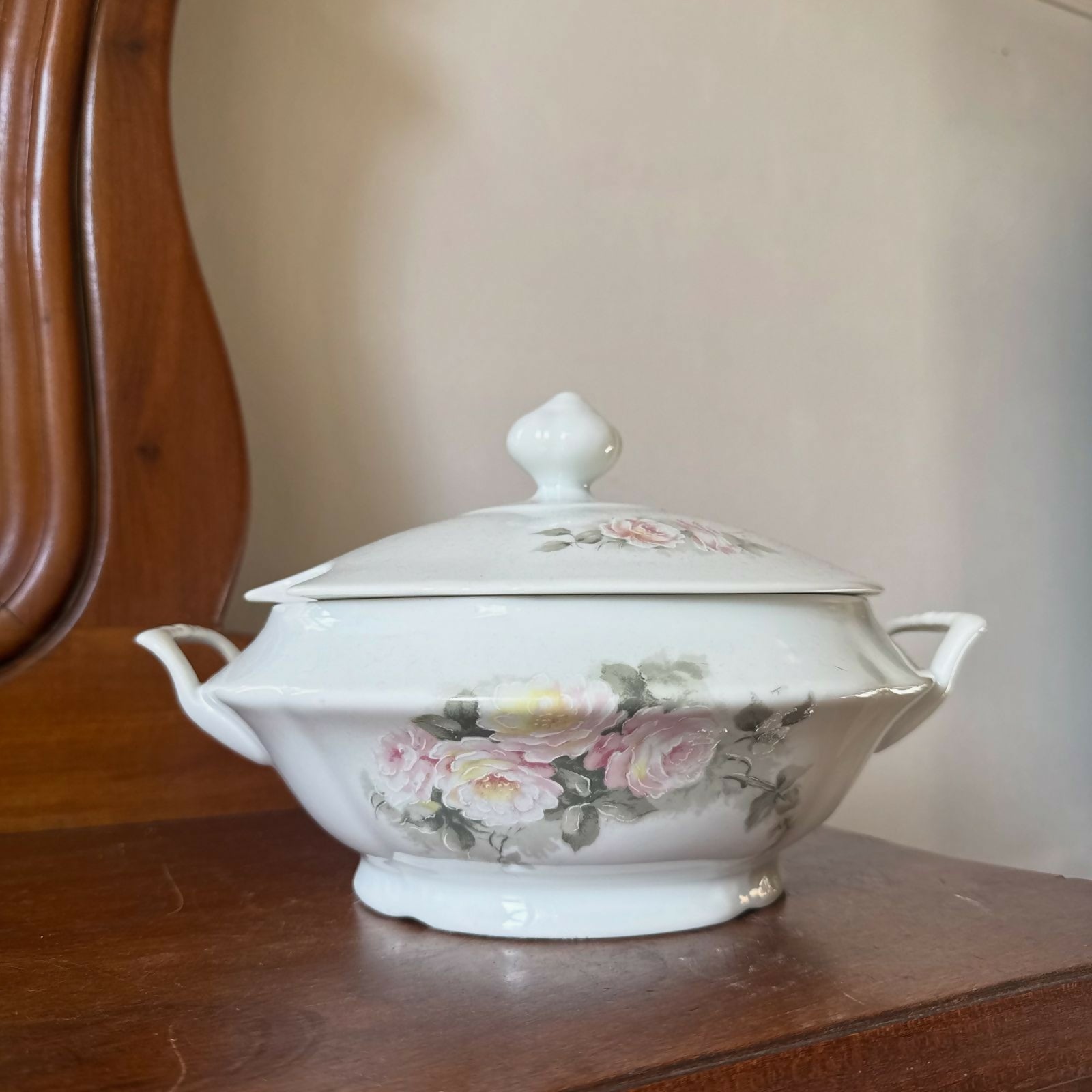 Belíssima Sopeira Porcelana Schmidt Brasil - Coleção Pomerode