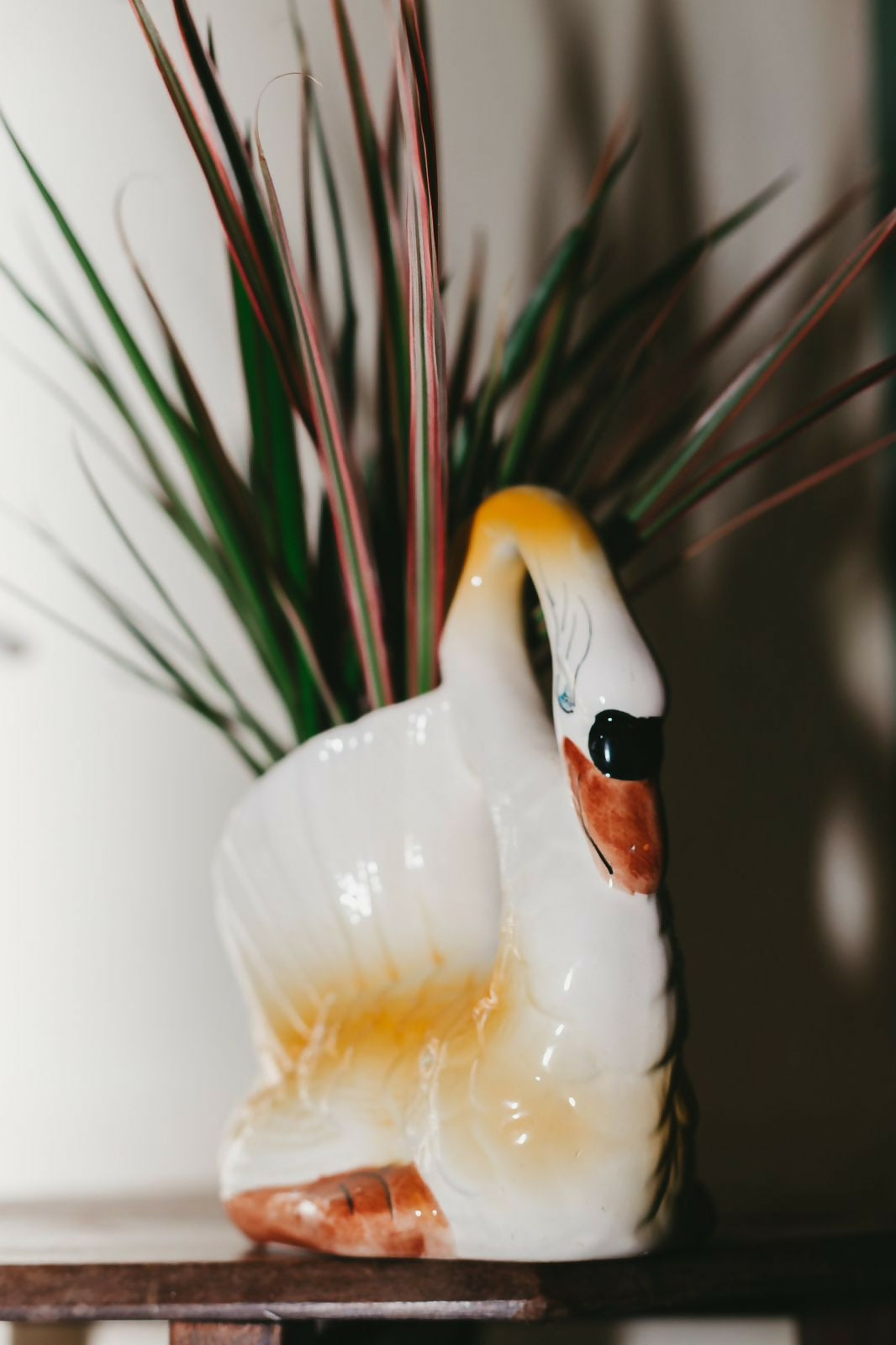 Imagem do WhatsApp de 2025-08-26 à(s) 18.41.03_4371c35f