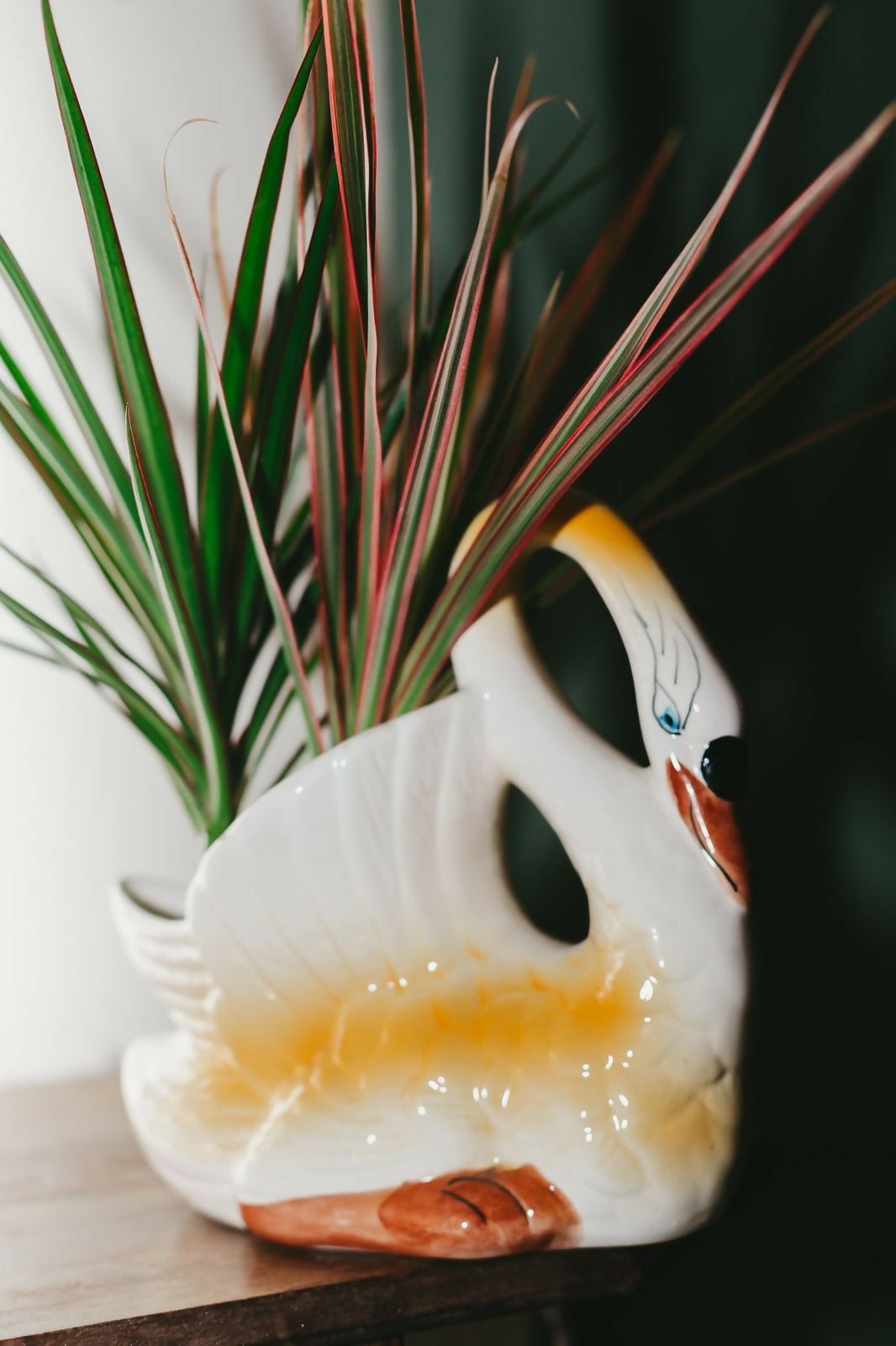 Imagem do WhatsApp de 2025-08-26 à(s) 18.41.00_166f0e6b