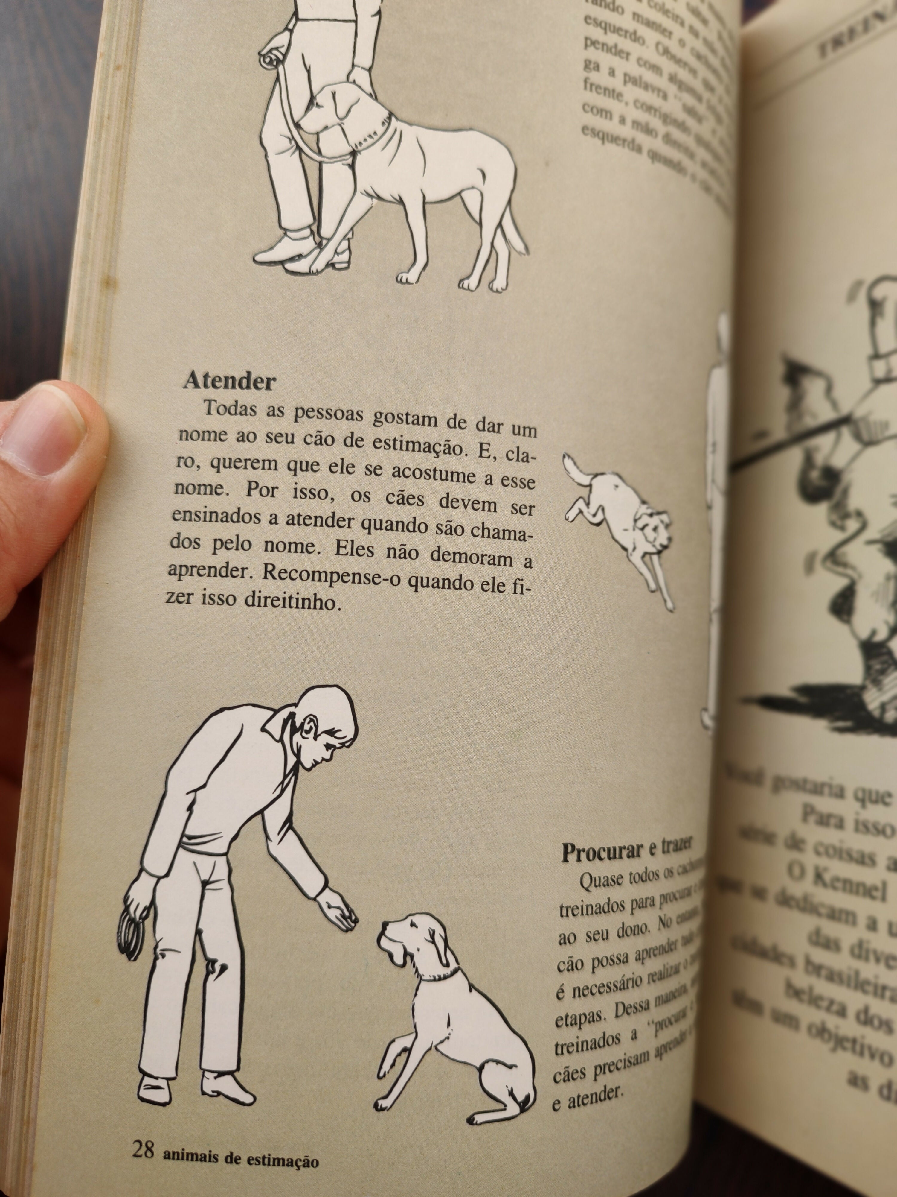 Livro "Animais de Estimação" - um guia prático de 1980