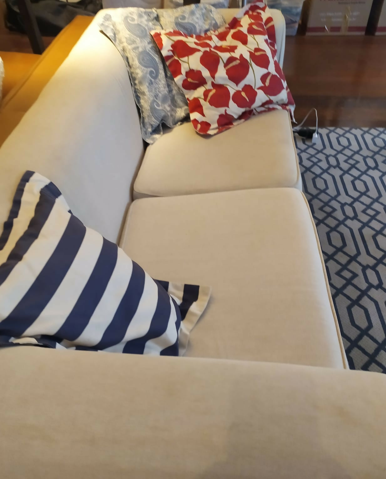 WhatsApp Image 2025-06-23 at 13.19.49