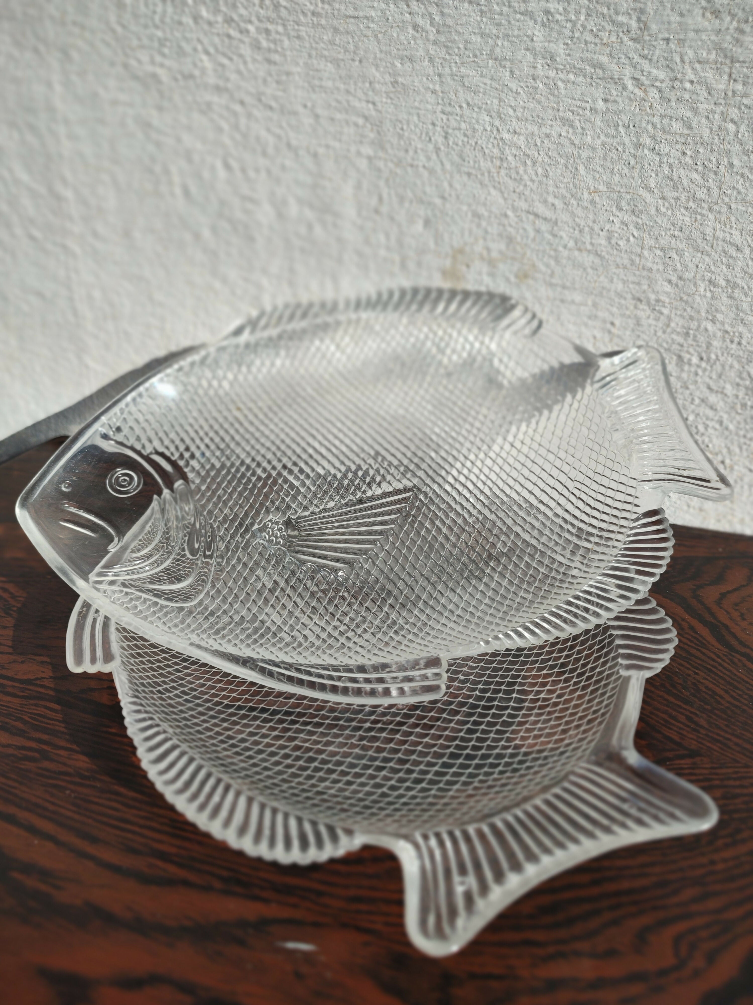 IMG_20250729_153912494_MF_PORTRAIT