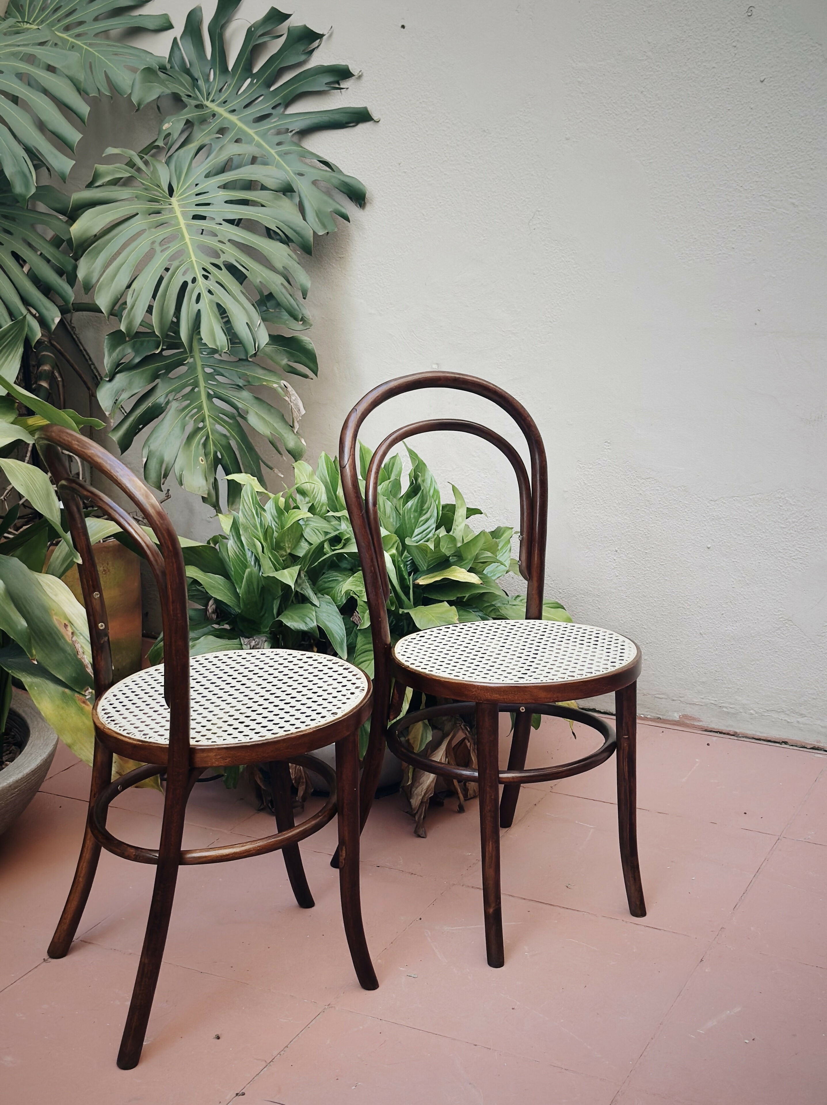 Cadeiras Thonet