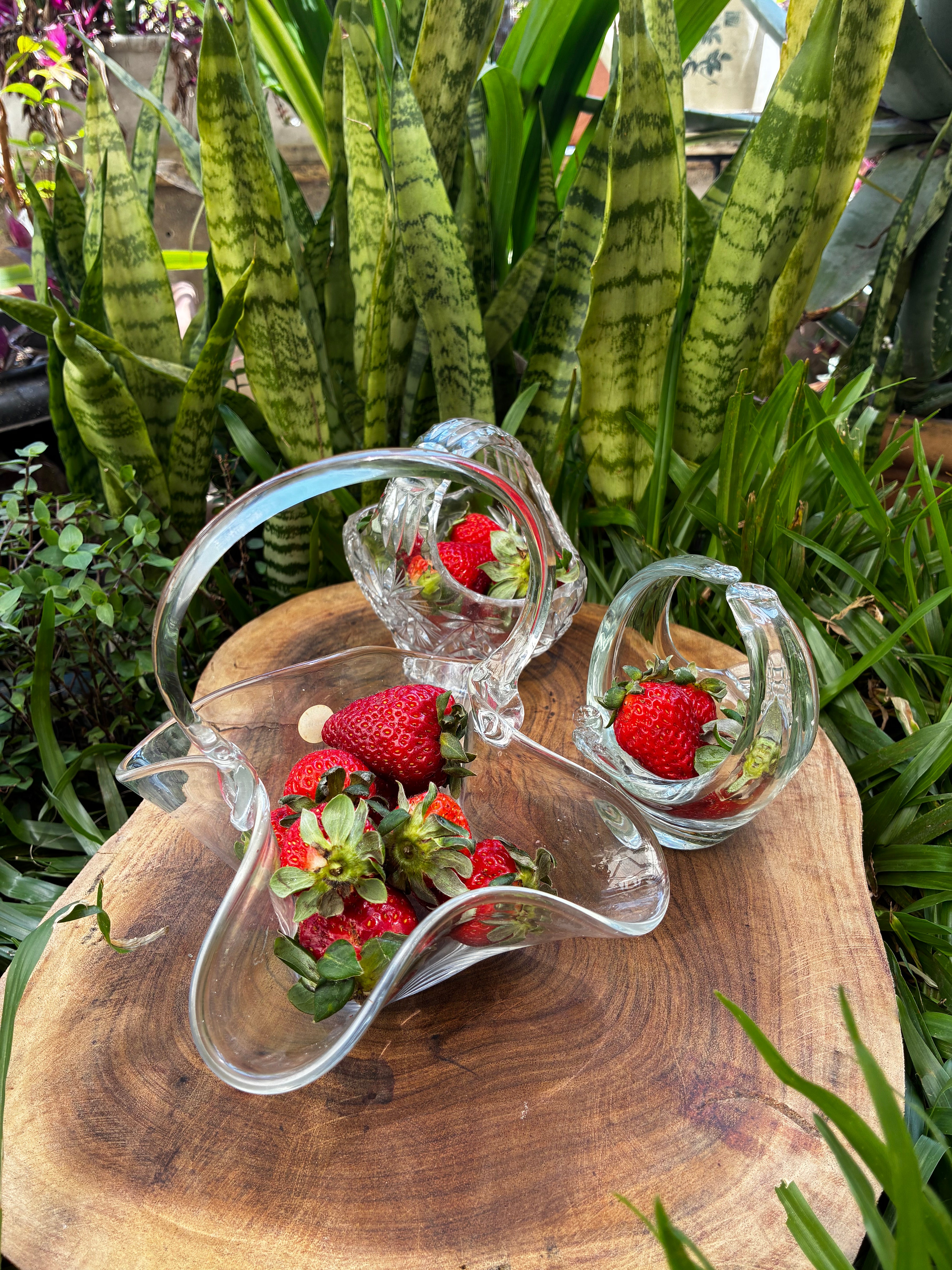 Trio de Mini Cestas em Vidro transparente 