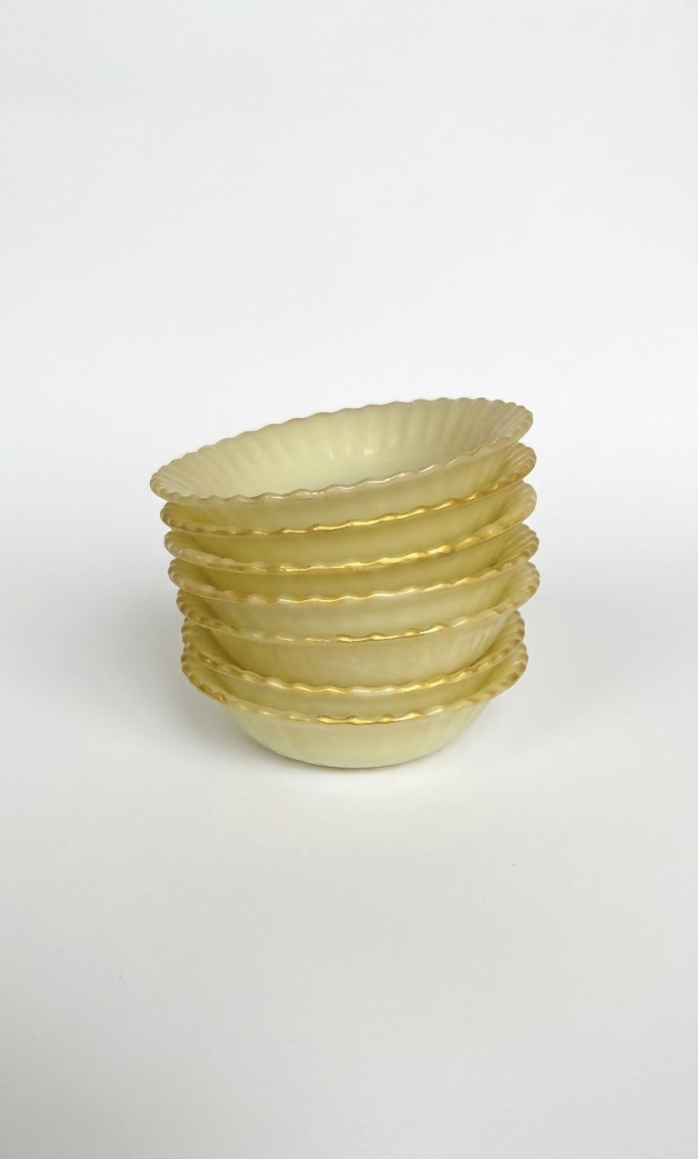 Serviço de Jantar Colorex com friso dourado FORA de SÉRIE (45 peças)