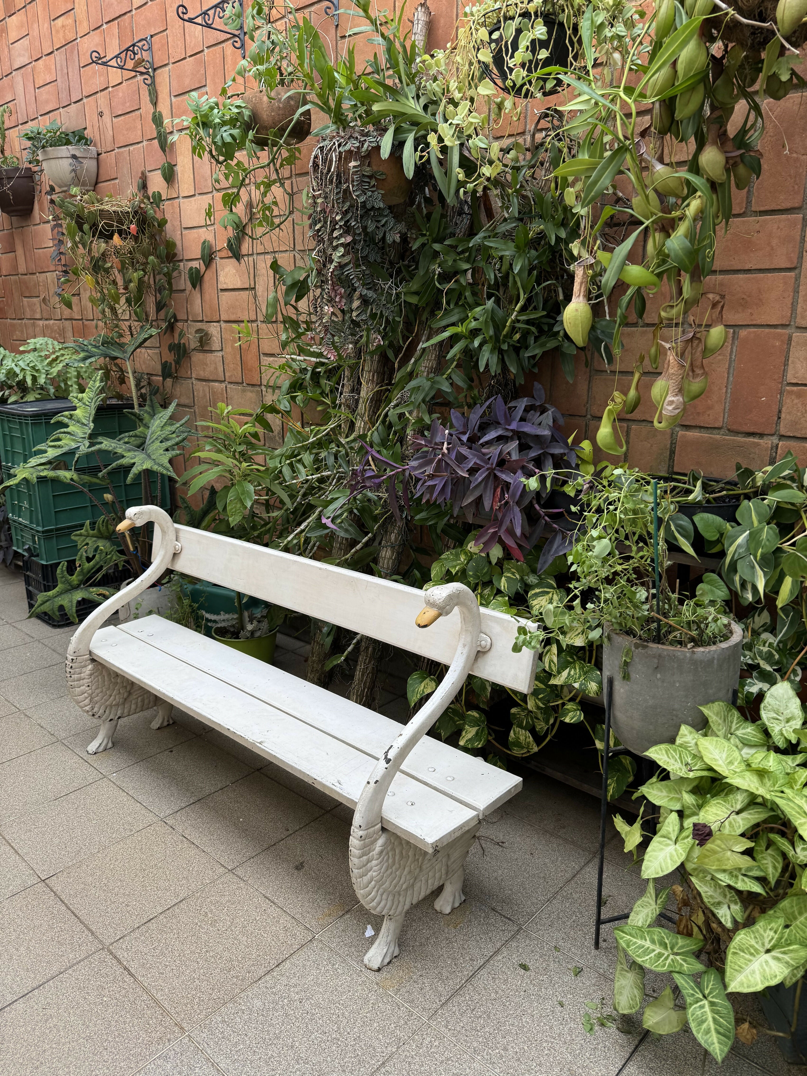 Banco de madeira em formato de dois cisnes