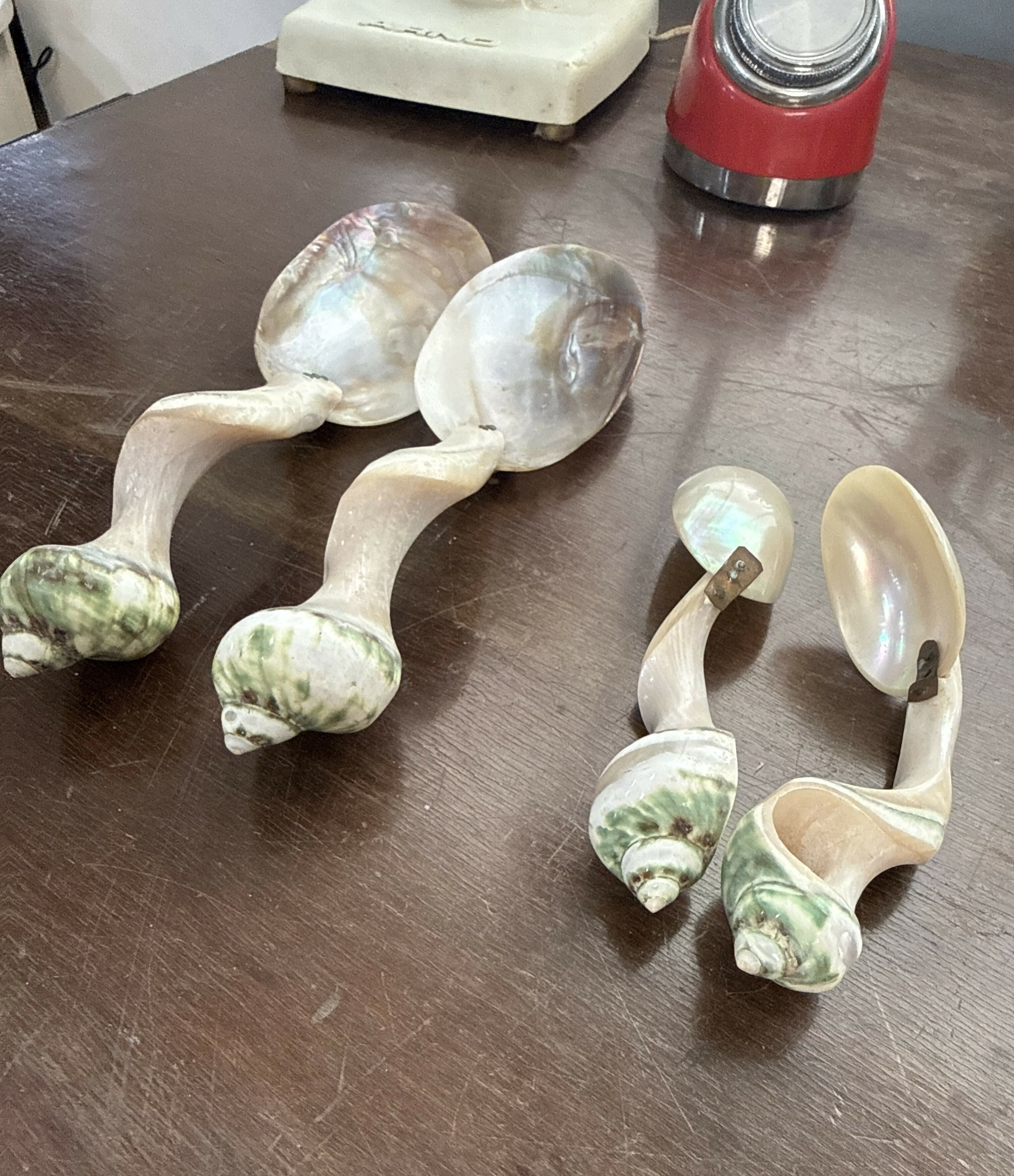 Colheres Esculturais em Madrepérola e Concha — Conjunto Vintage de Caráter Colecionável