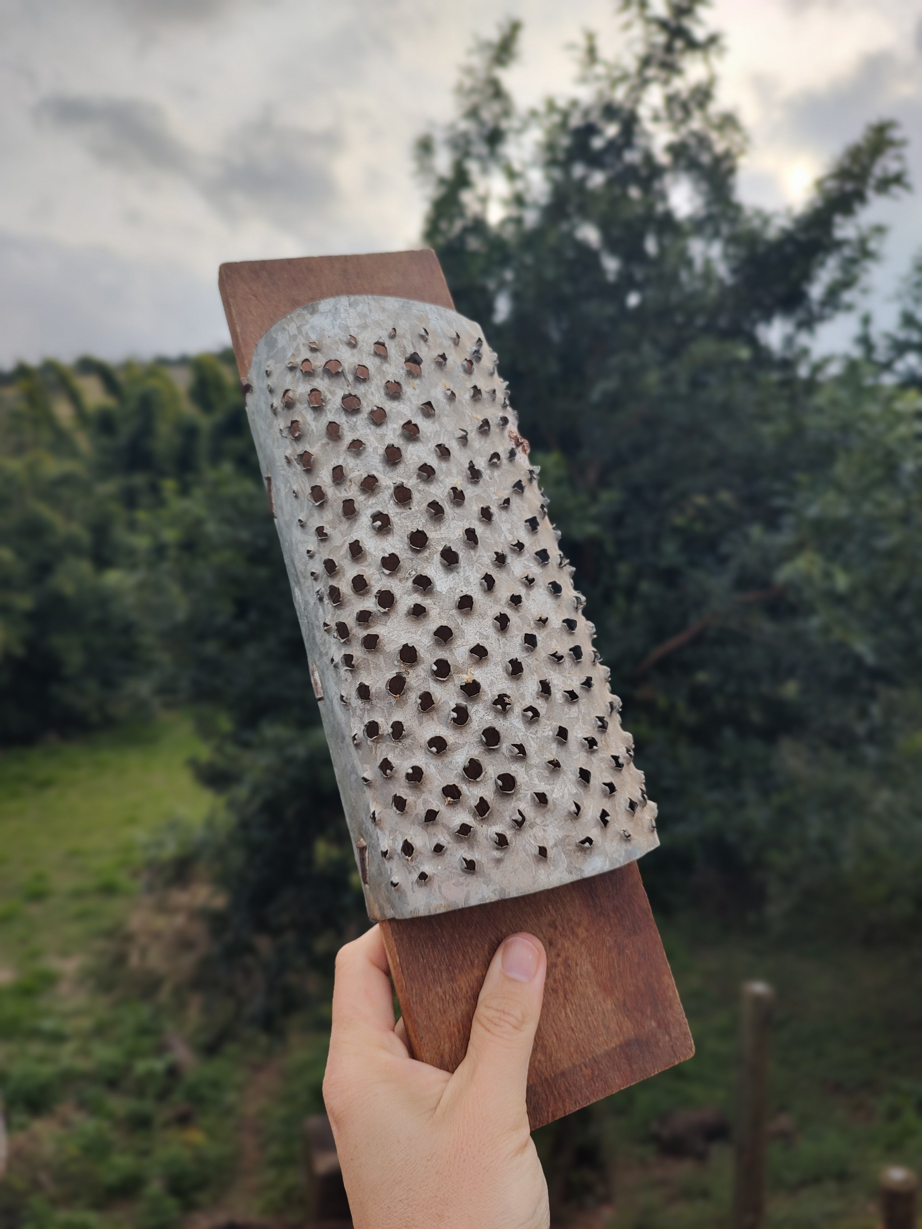Antigo ralador de milho garimpado no interior de São Paulo (35cm x 10cm)