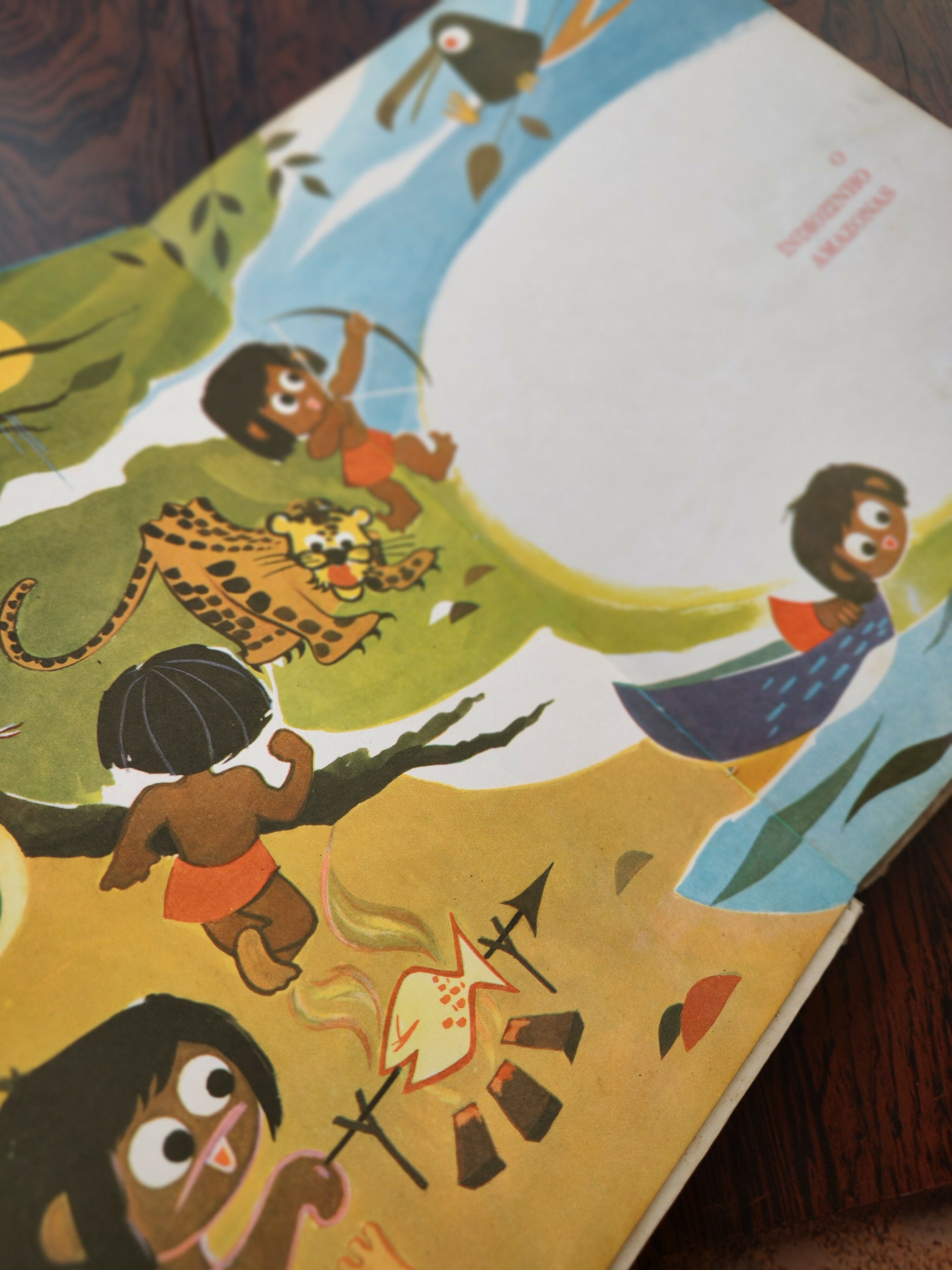 Antigo Livro &quot;O Indiozinho Amazonas&quot; - publicado em 1975