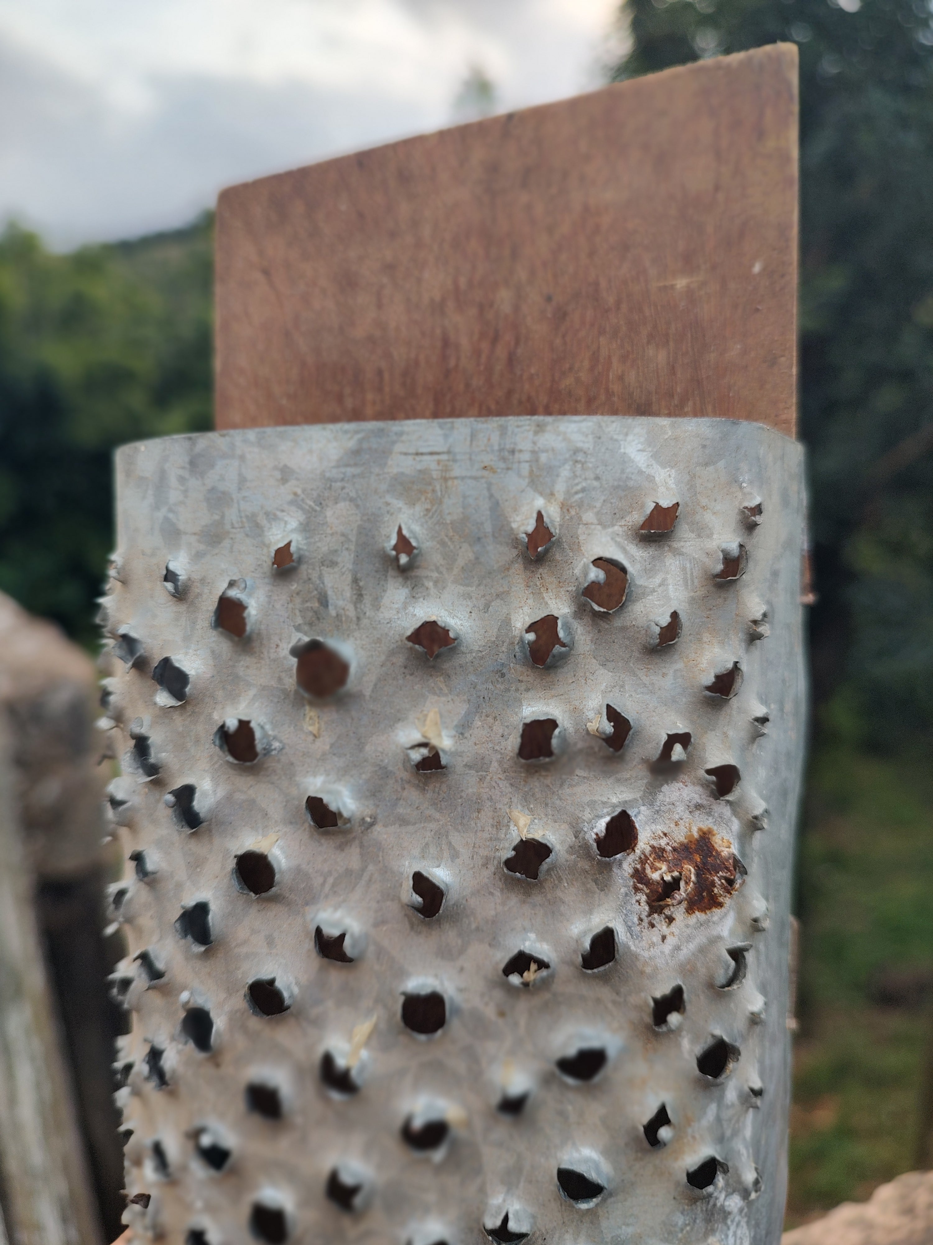 Antigo ralador de milho garimpado no interior de São Paulo (35cm x 10cm)