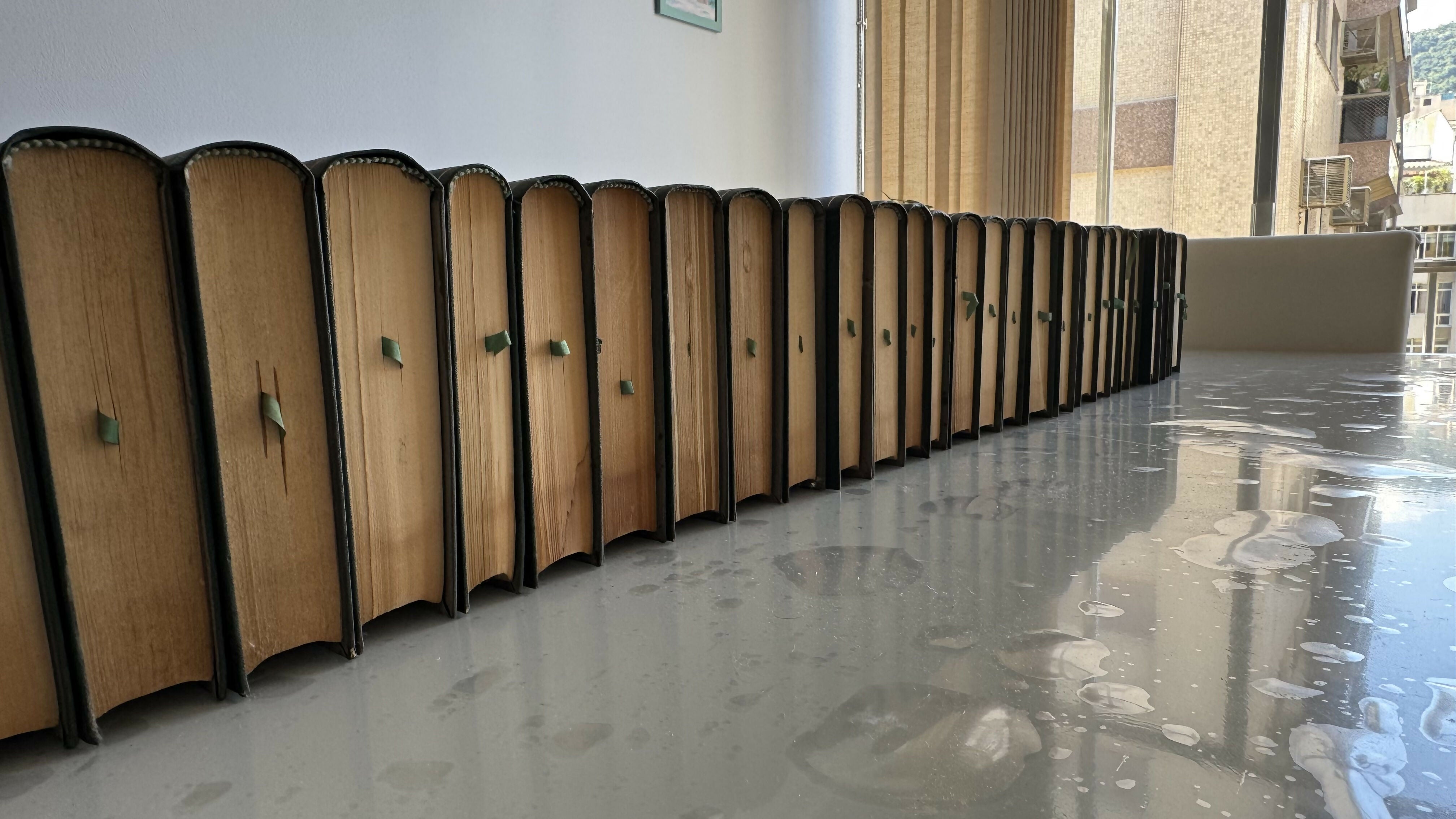 Coleção Tratado De Direito Privado - Pontes De Miranda - 59 Vols - Rubricados Pelo Autor