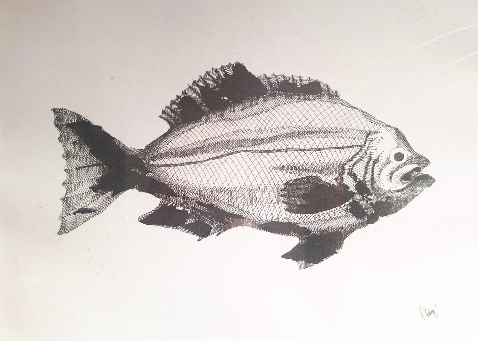 Quadro com Gravura de Peixe em preto e branco 