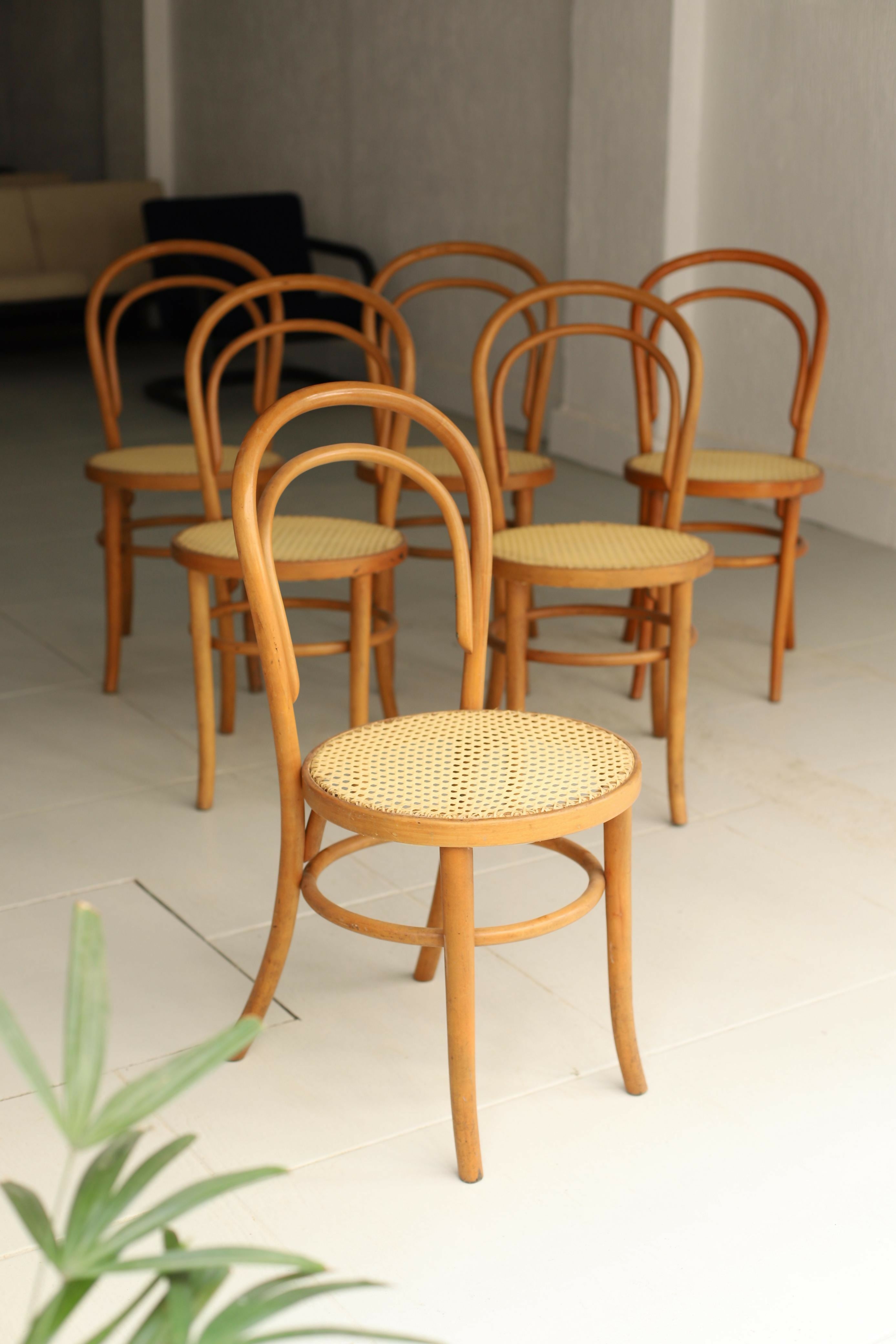 Conjunto de cadeiras Thonet seladas