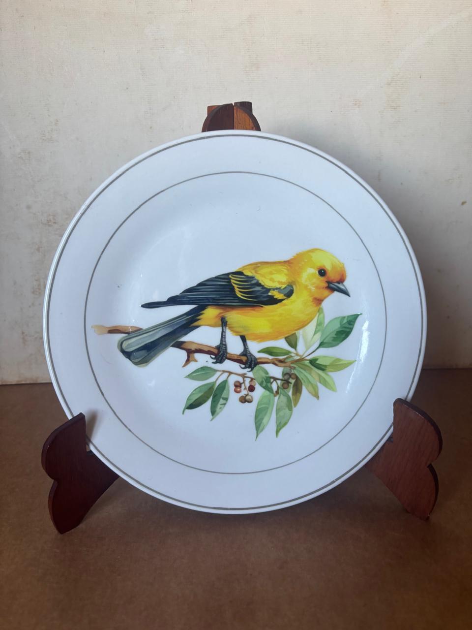 Trio de pratos decorativos com aves (DMCPS_656)