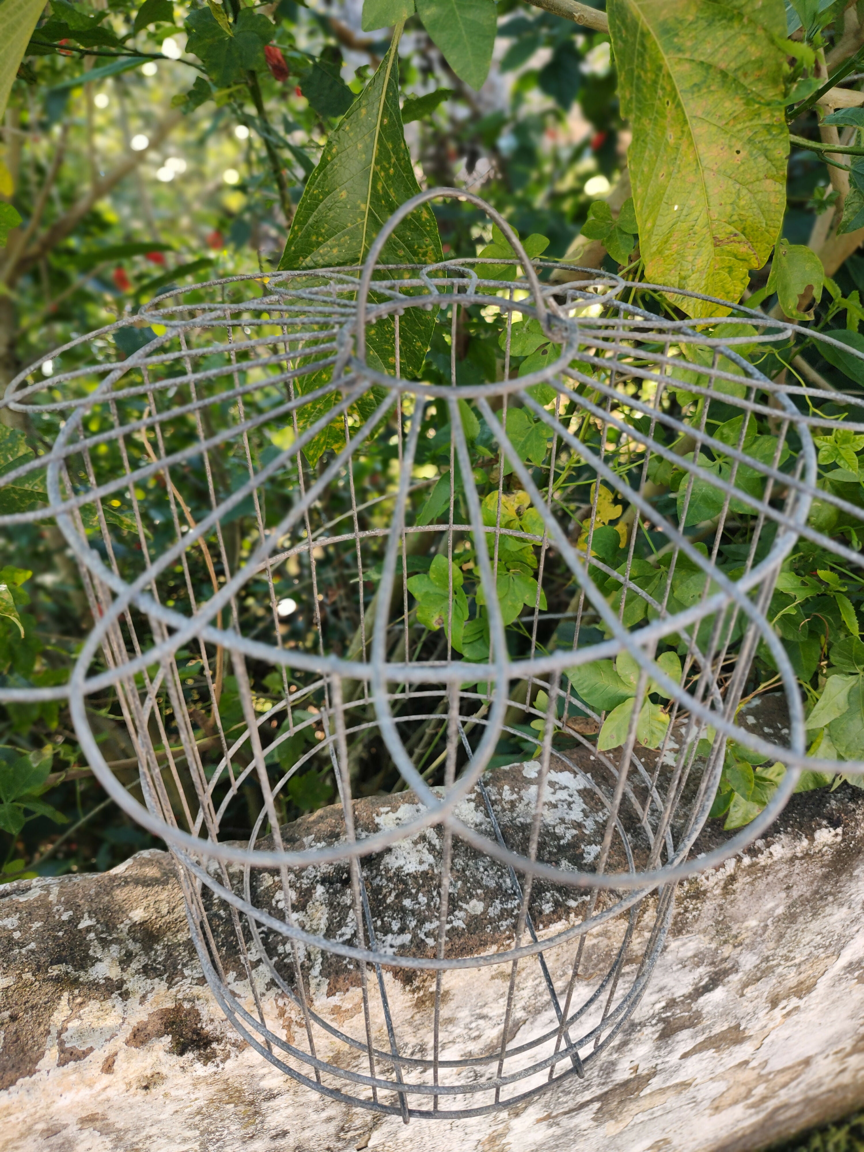 Antiga Gaiola de metal, arredondada em forma de Casinha