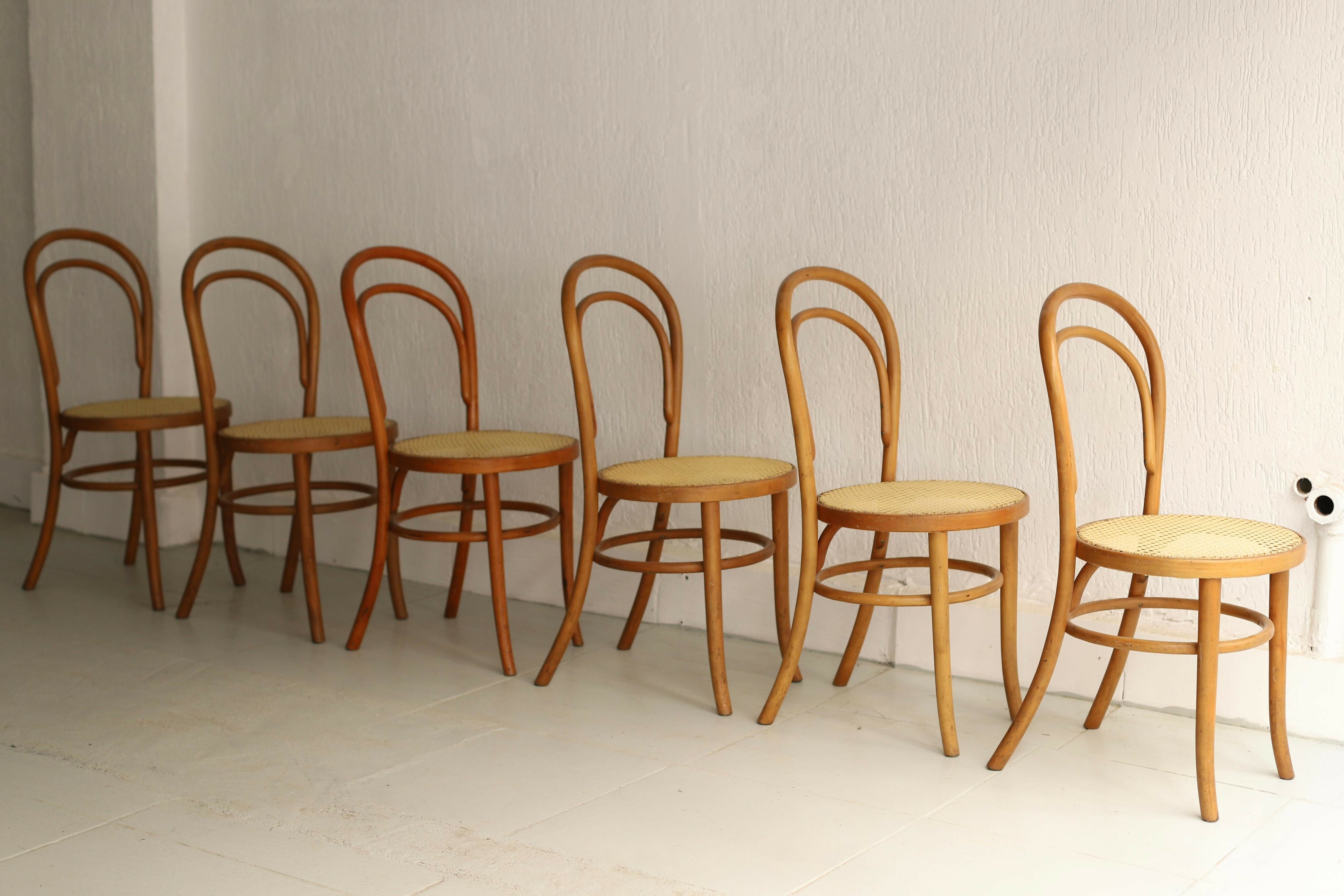 Conjunto de cadeiras Thonet seladas