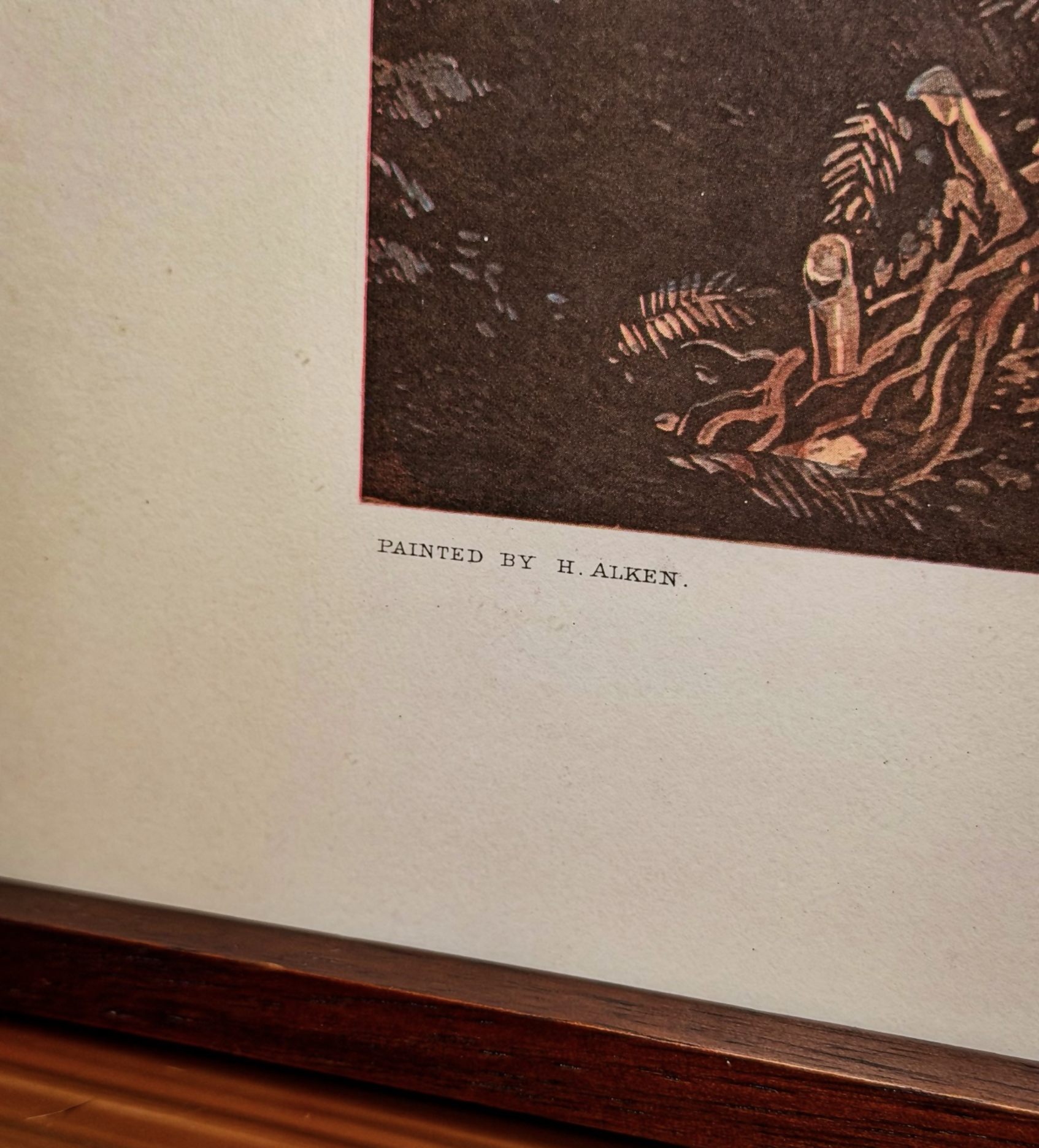 Gravura com Moldura em Jacaranda - THE FIRST INTRRODUCTION TO HOUNDS. Gravura by J.Harris Pintado by H. Alken.