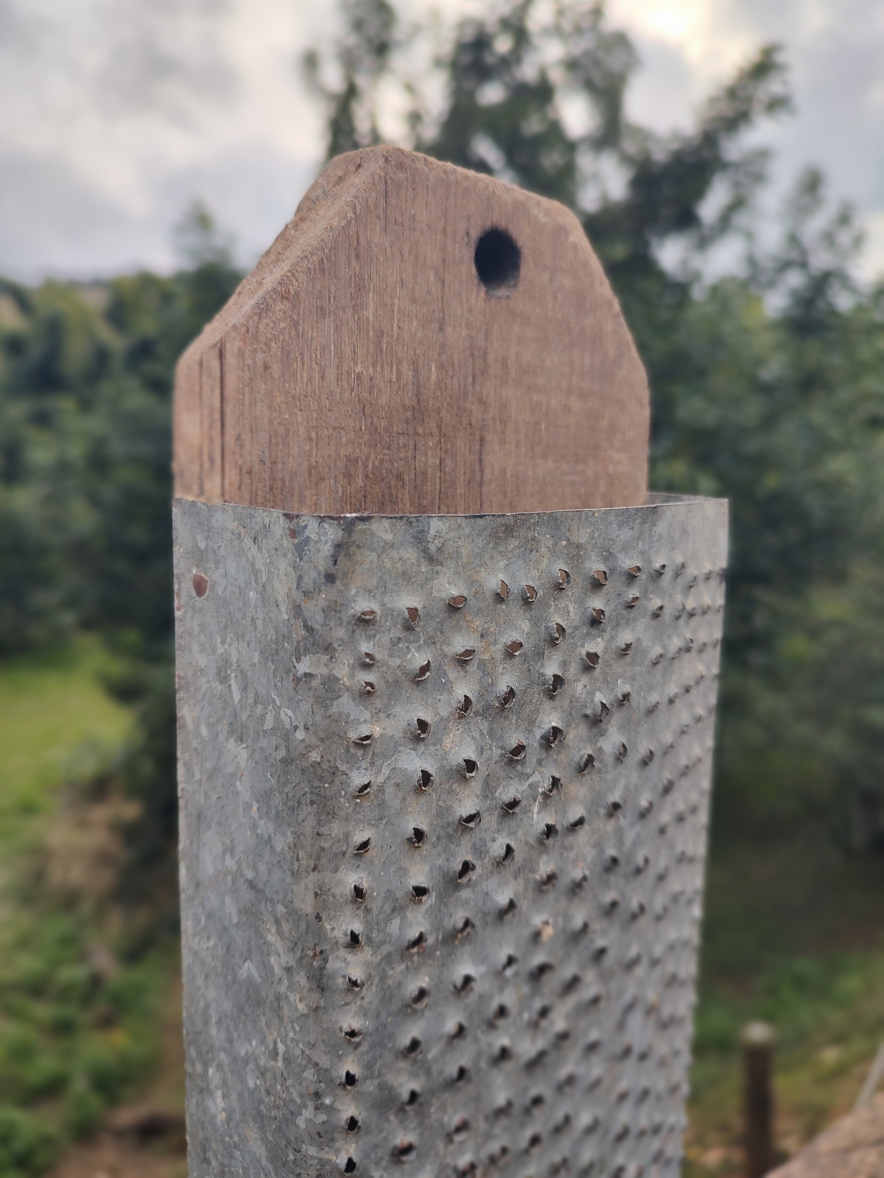 Antigo ralador de milho garimpado no interior de São Paulo (48cm x 13cm)