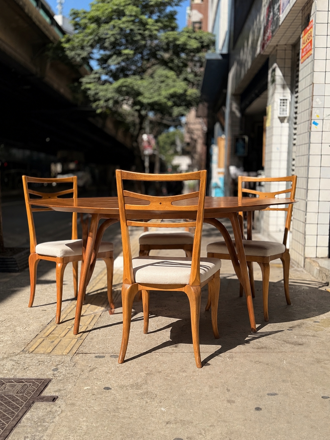 Conjunto com 6 cadeiras Scapinelli