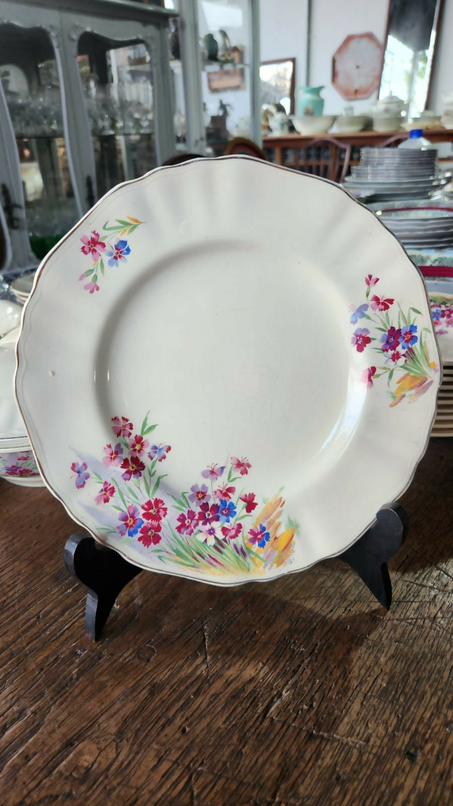 Porcelana inglesa SUNSHINE J&amp;G