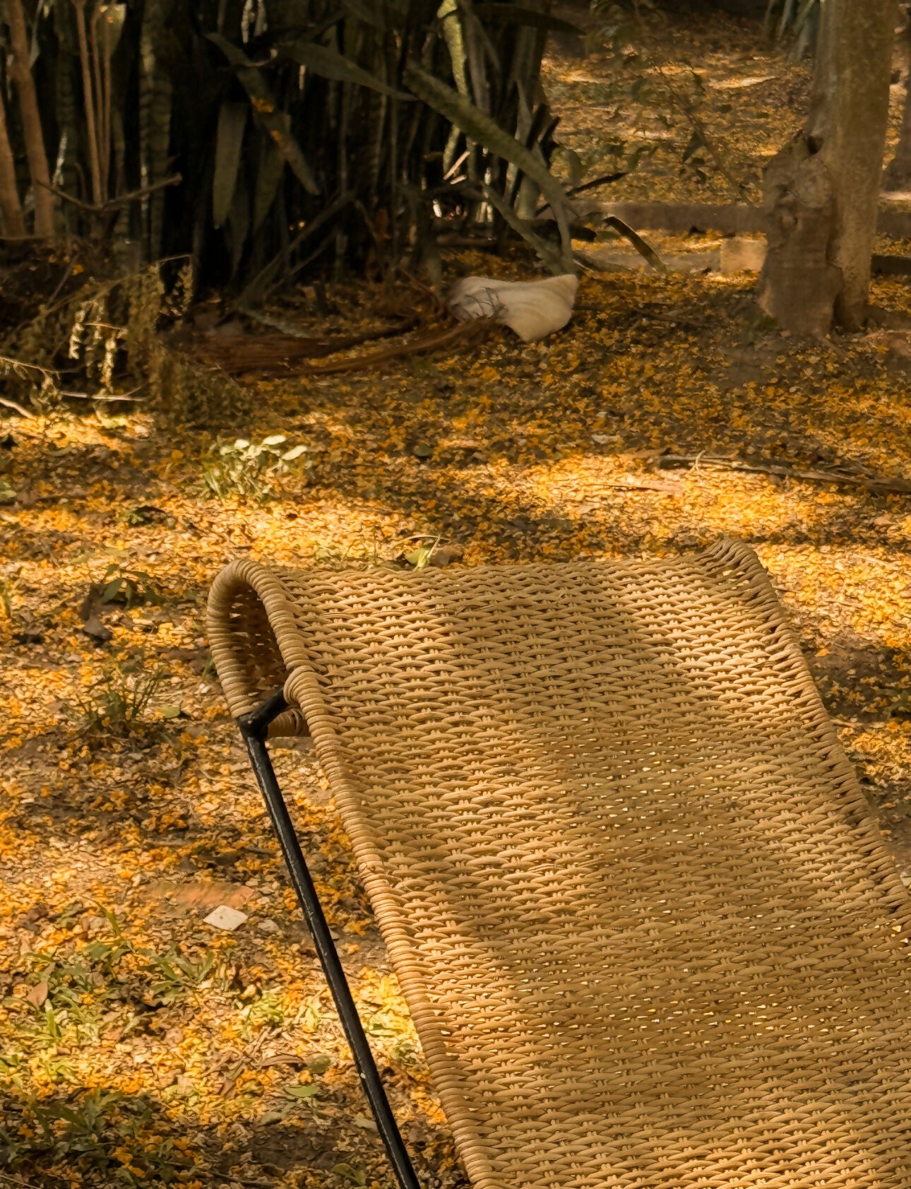 Espreguiçadeira modernista