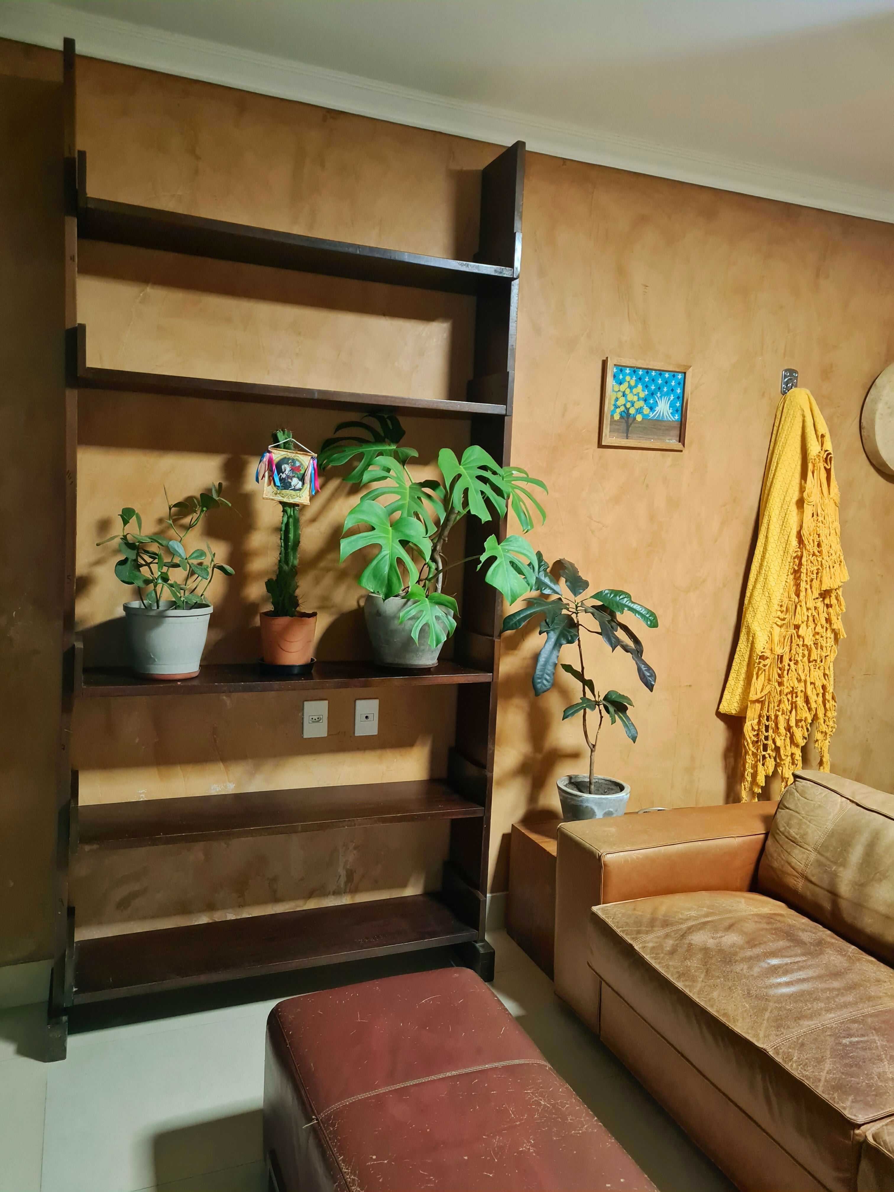 Estante em Imbuia maciça