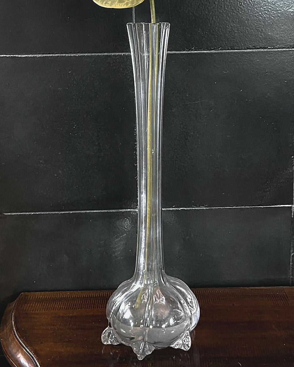 Vaso Solifleur Translúcido (DMPS_39)