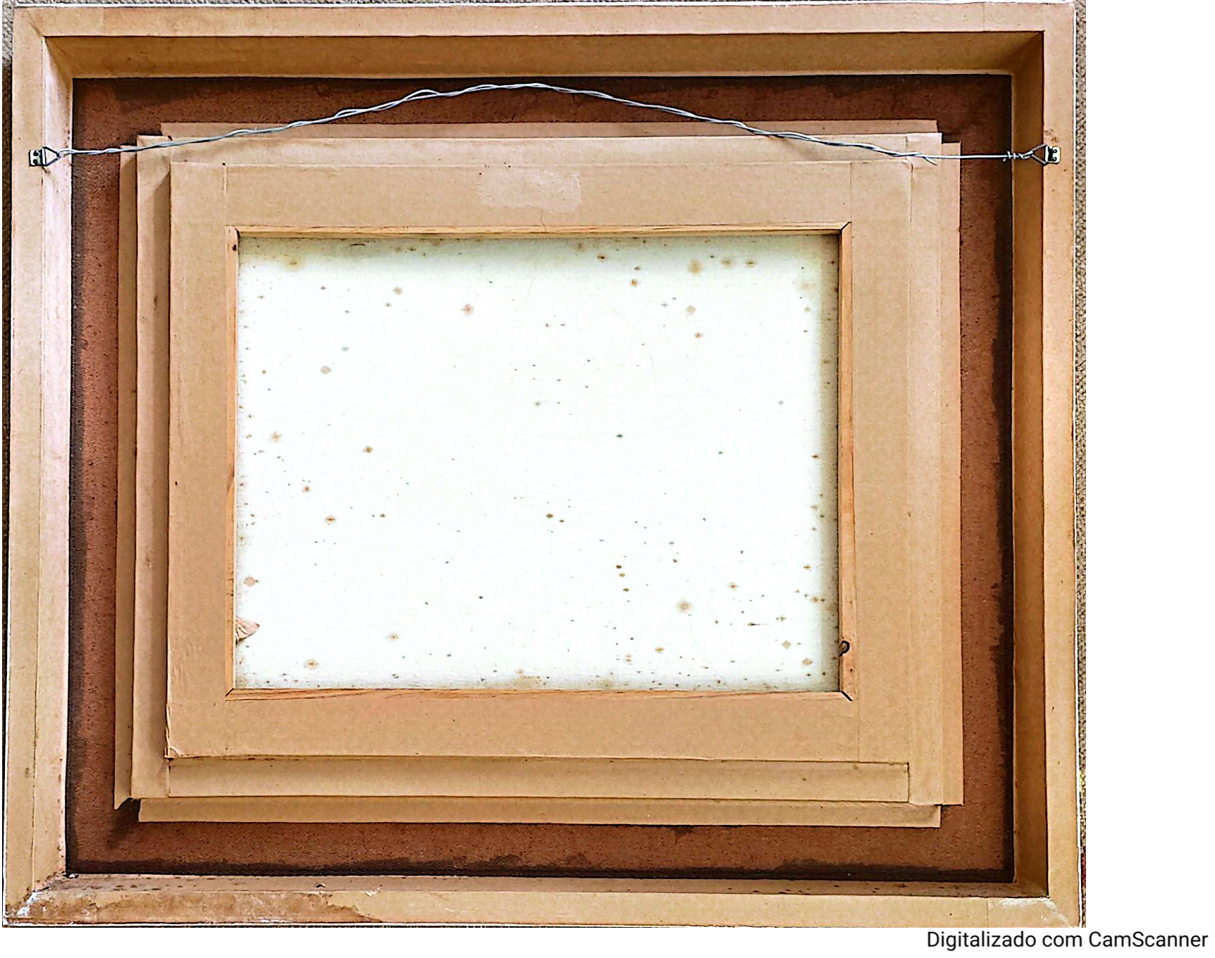 Quadro C. Takaoka peixes