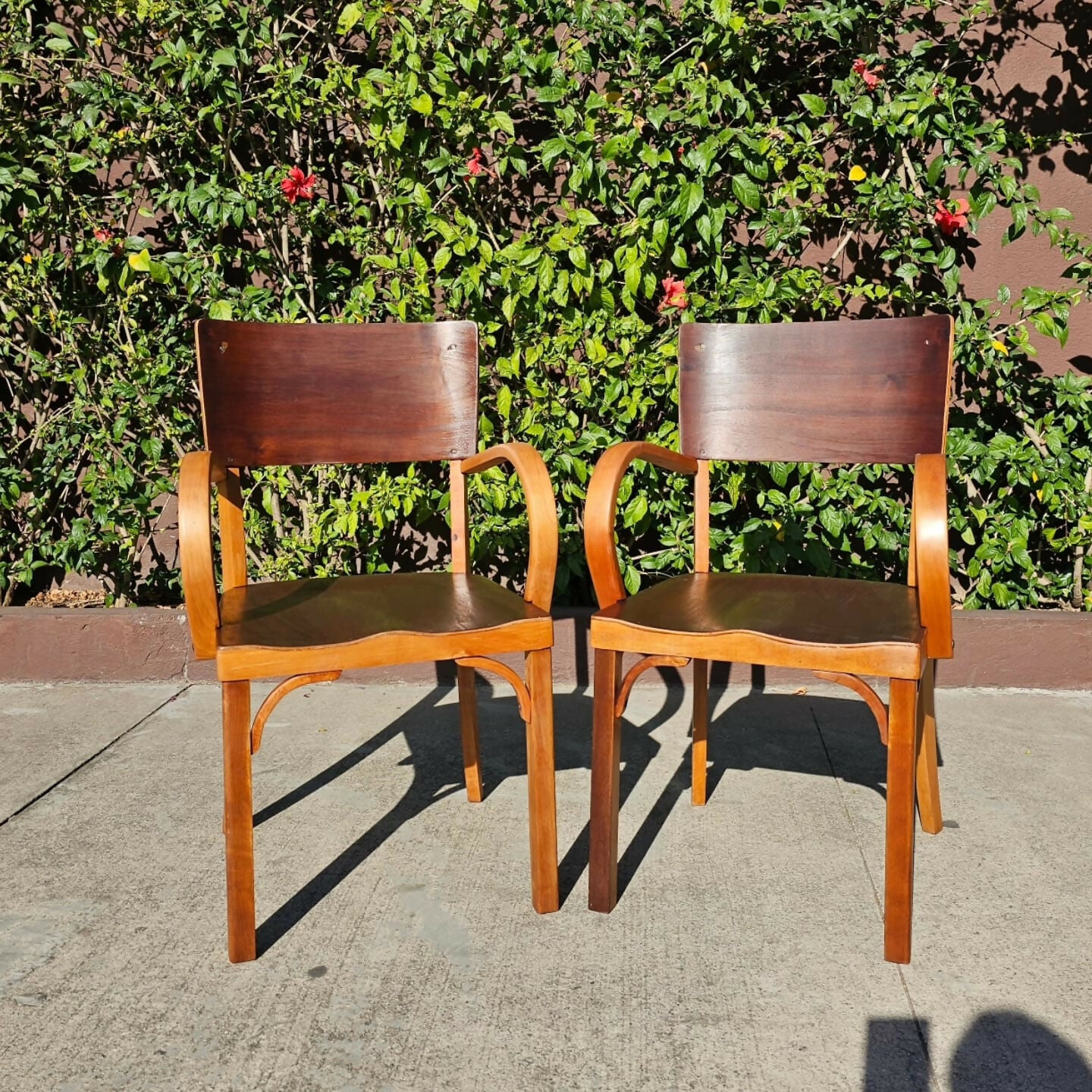 Namoradeira e duas cadeiras, em imbuia, década de 50, móveis Streif