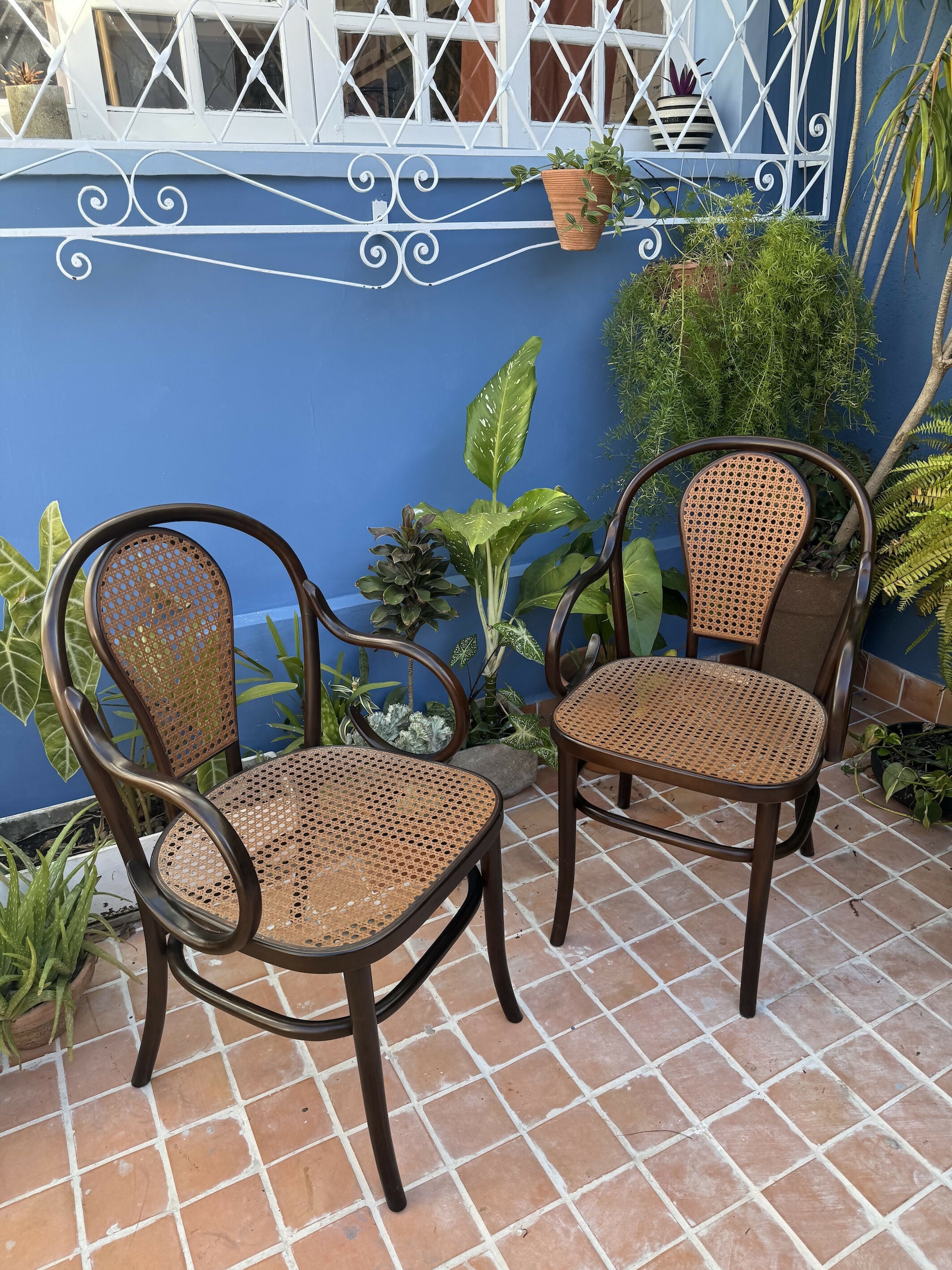 Antigas THONET AUSTRÍACAS - poltronas em palhinha