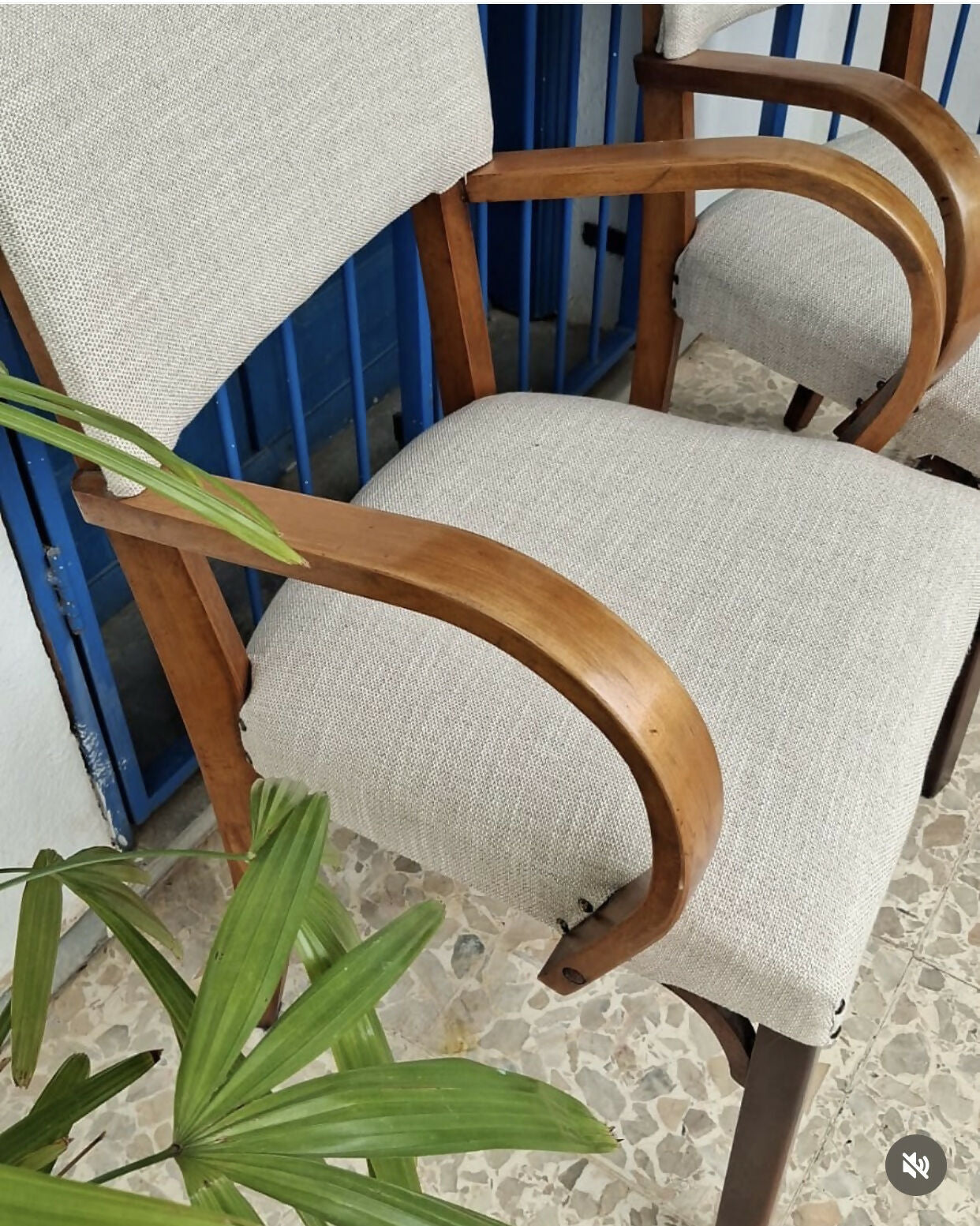 Poltronas em madeira e estofado claro (valor unitário)