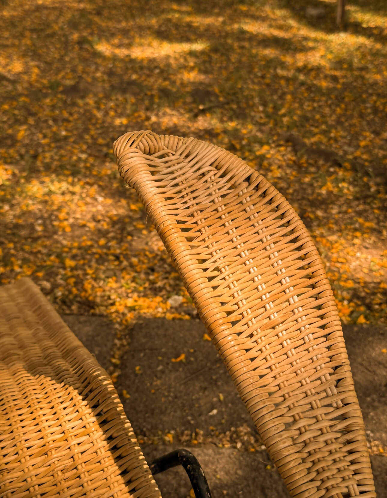 Espreguiçadeira modernista