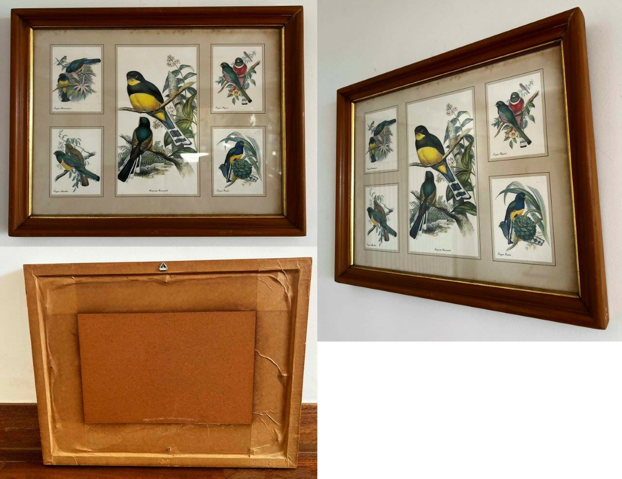 Conjunto de 8 Quadros decorativos com moldura de madeira e vidro