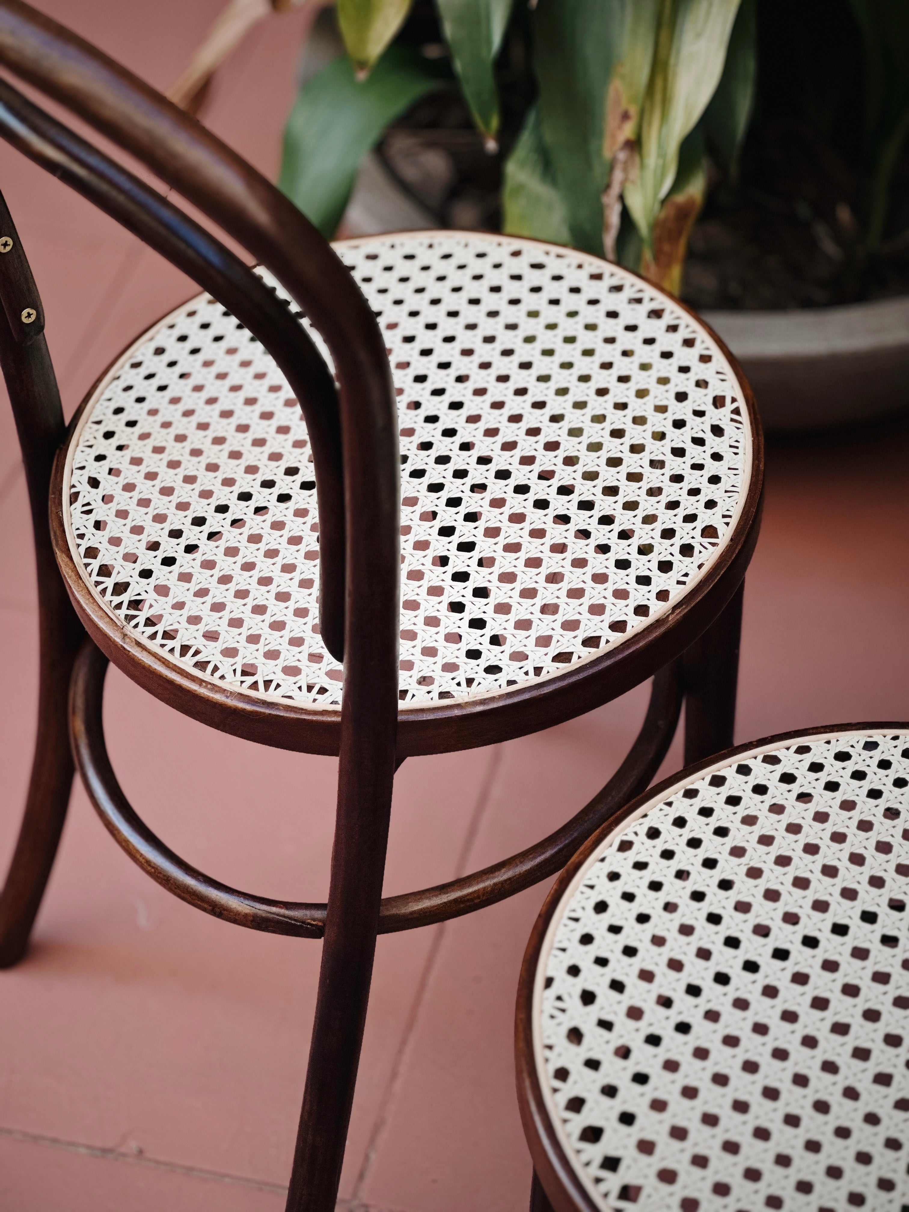 Set de Cadeiras Thonet