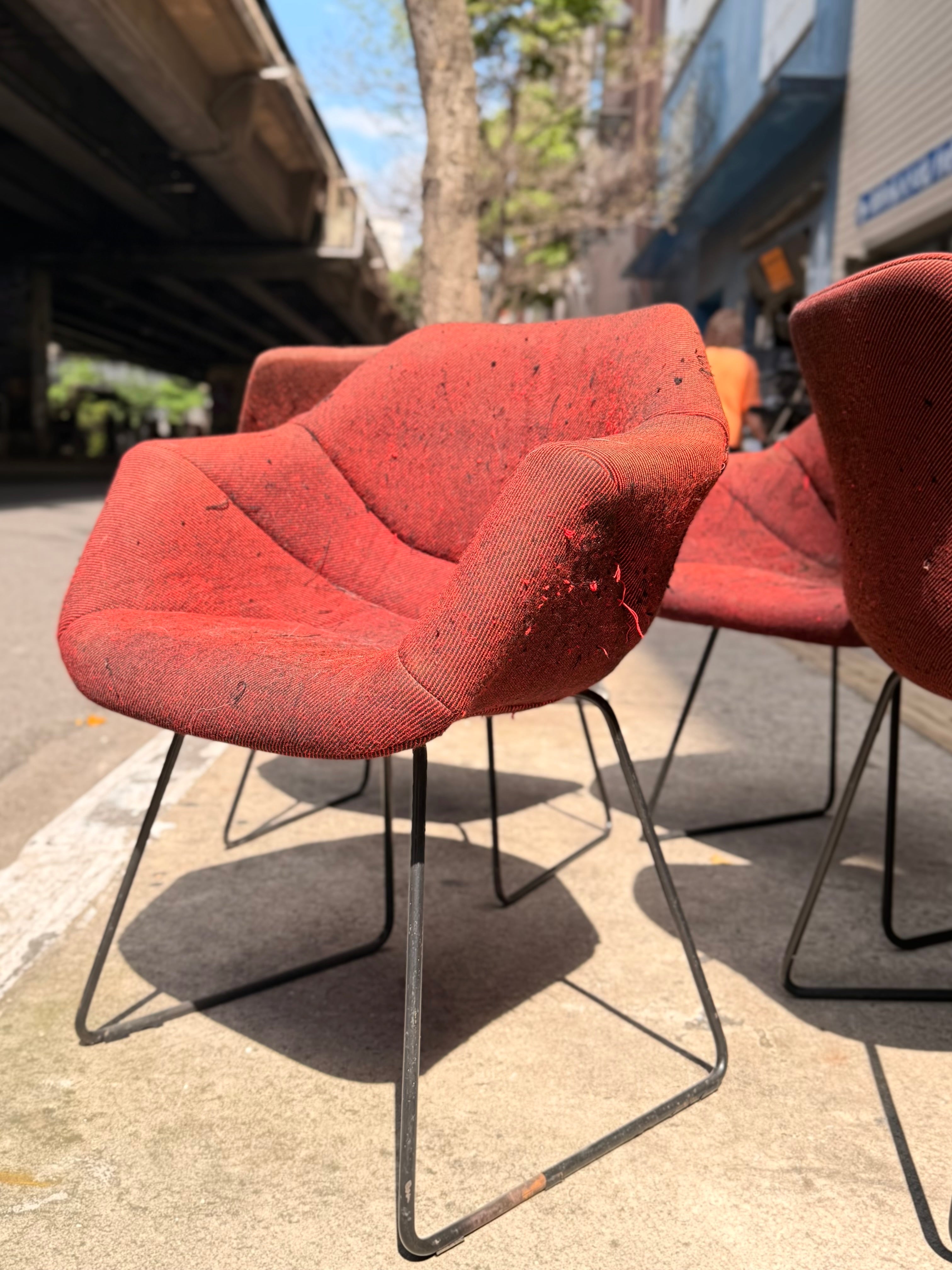 Poltronas Robin Day L&