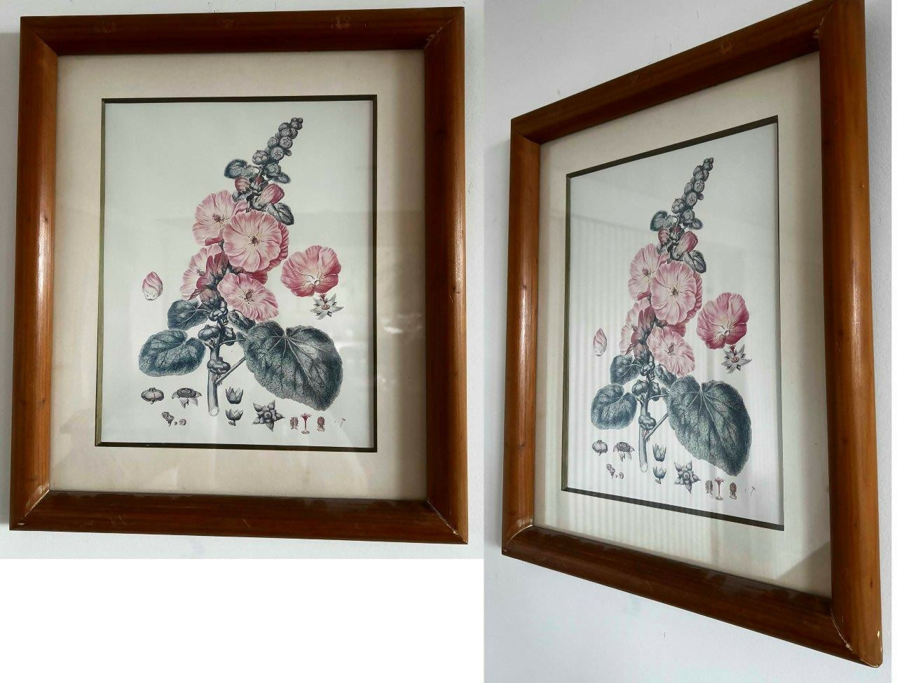 Conjunto de 8 Quadros decorativos com moldura de madeira e vidro