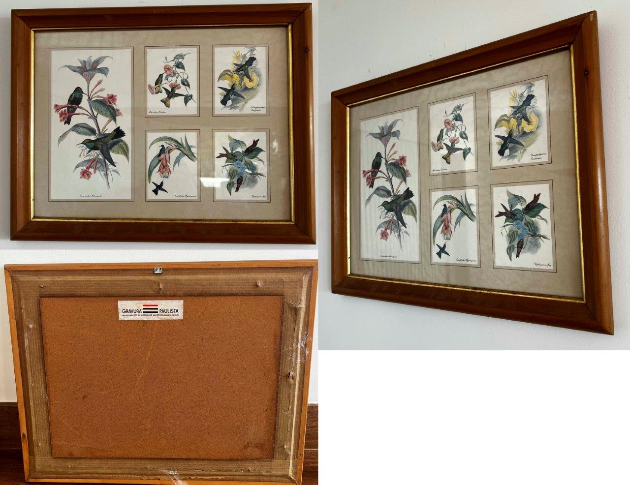 Quadro Decorativo com moldura de madeira e tema Botânico (valor unitário) 