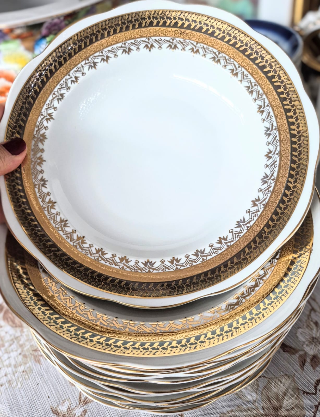Conjunto de 12 pratos fundos em porcelana maravilhosa nacarada vintage Steatita.  Perfeito estado!