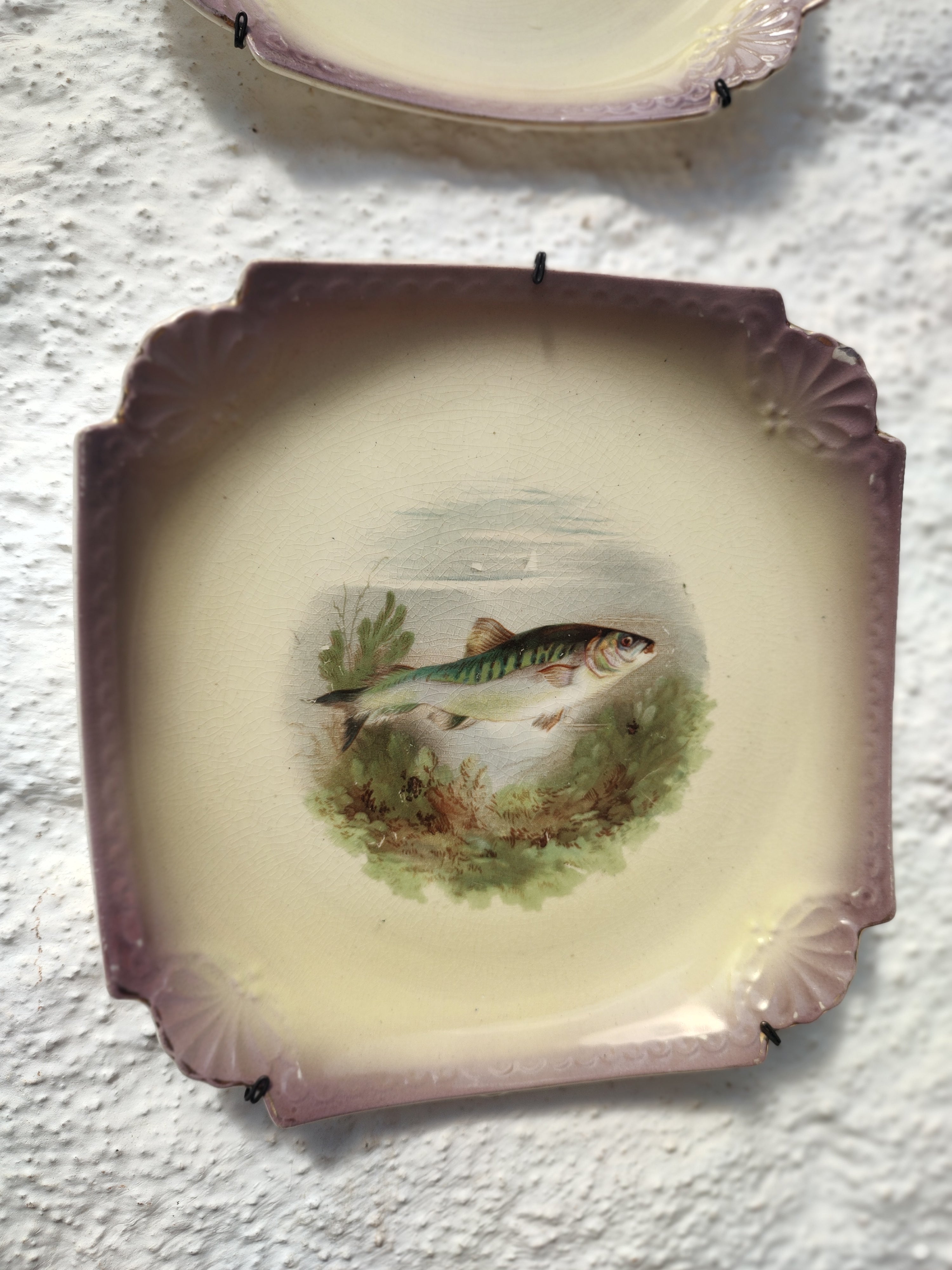 Raro e centenário conjunto de Pratos Decorativos com pequena travessa em Porcelana Alemã Royal Bonn com pinturas de peixes feita à mão