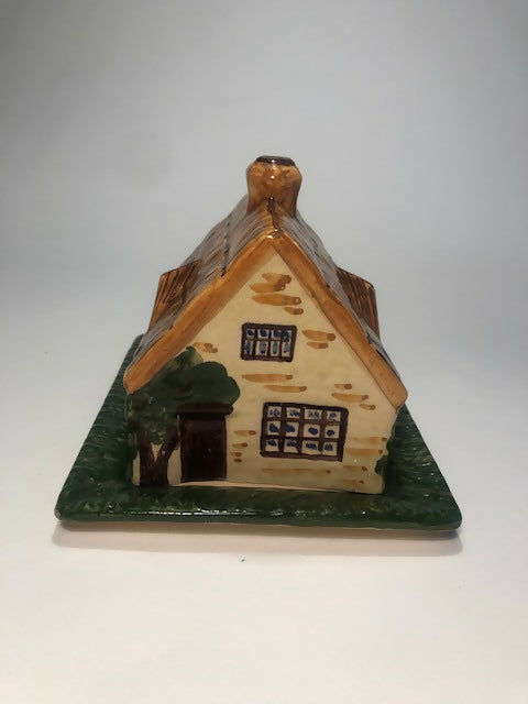 thumbnail_IMG_9205