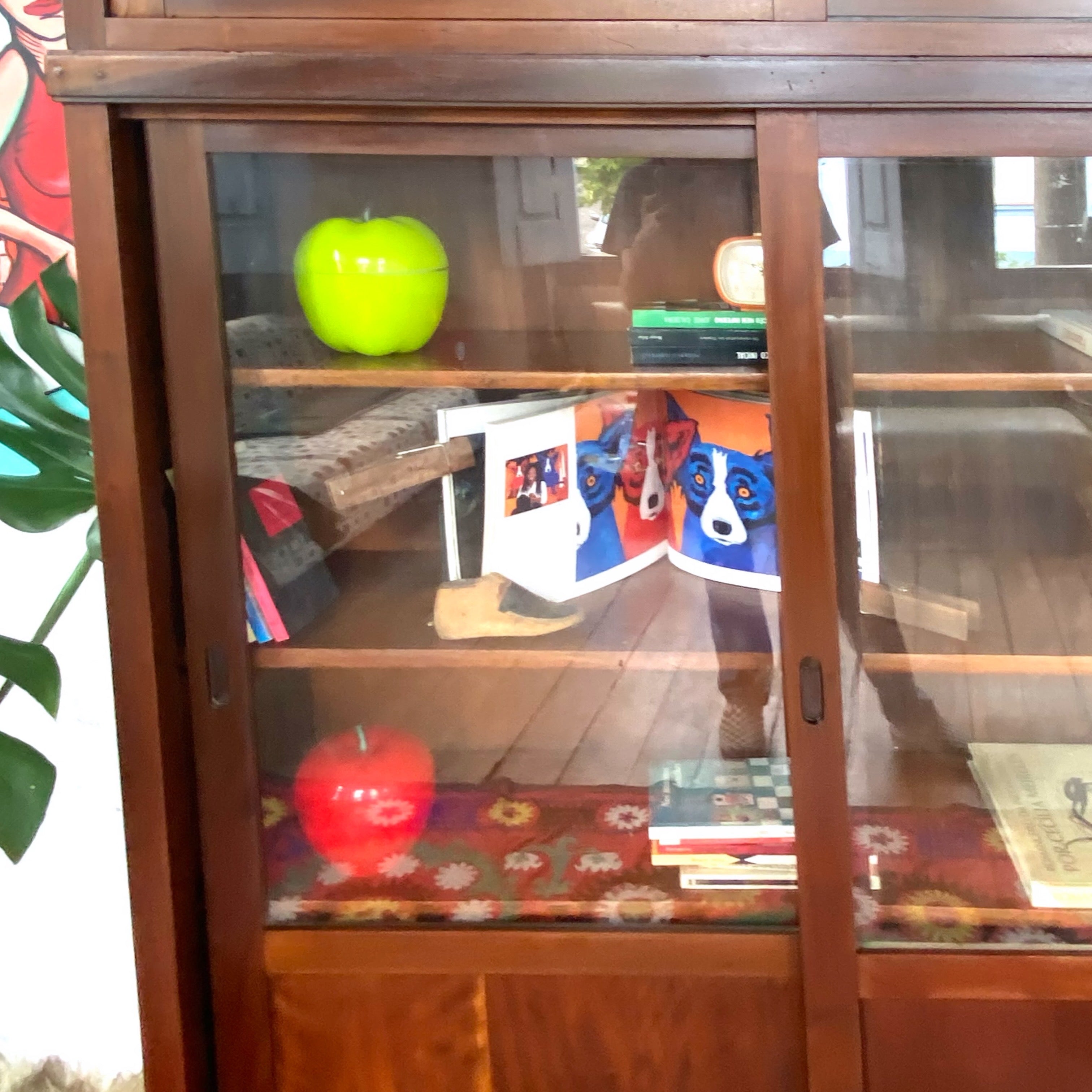 Livreiro raro duplo