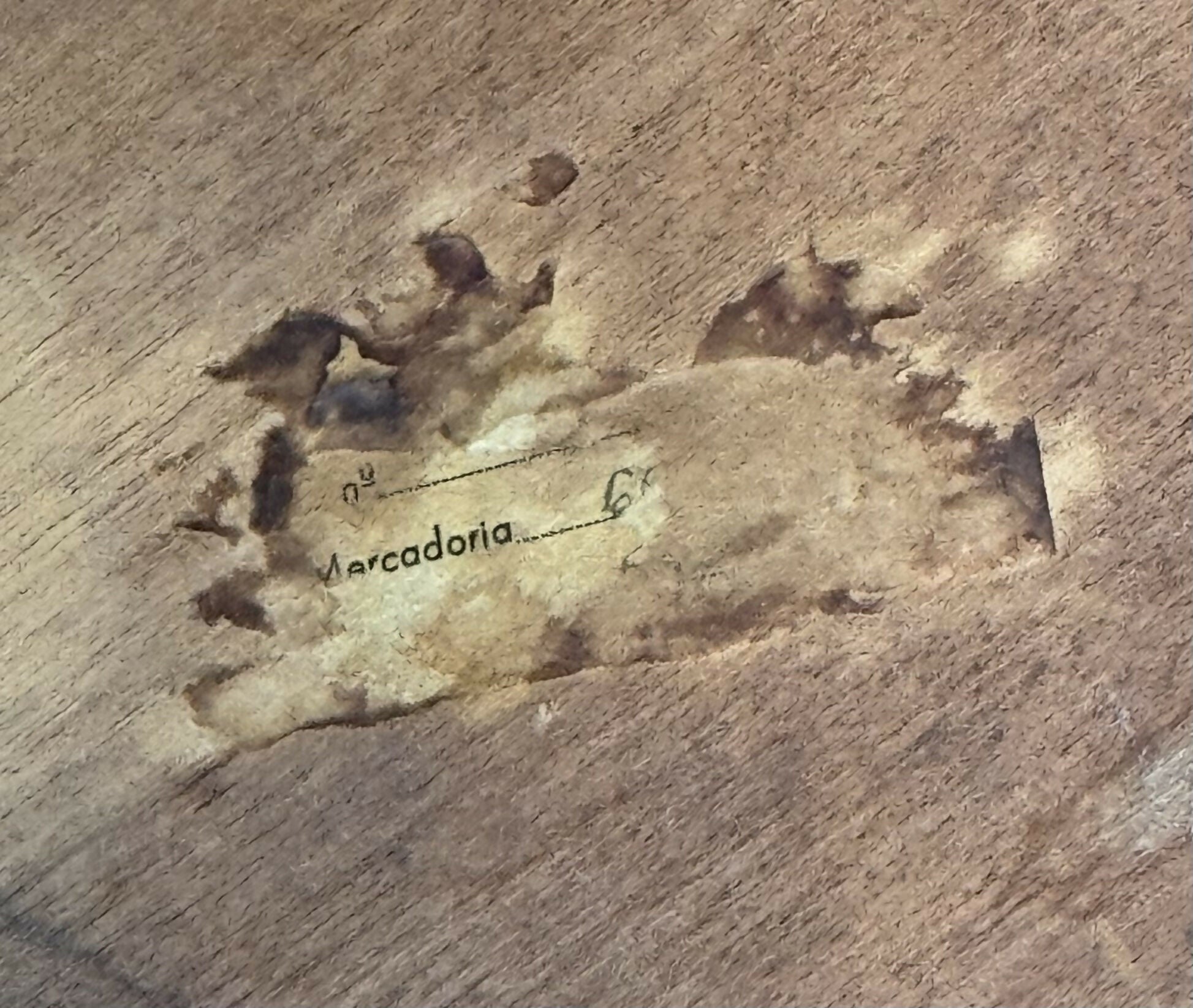 Antiga cadeira esculpida e madeira maciça e assento em couro