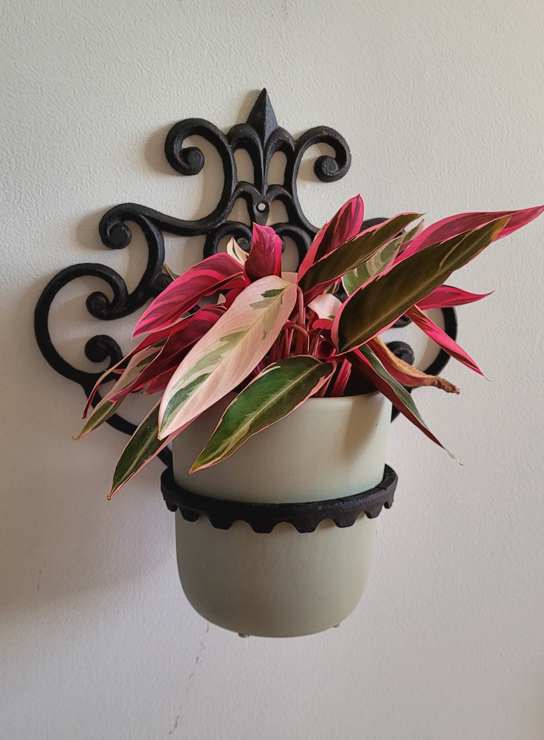 Suporte retrátil para vaso de plantas de ferro fundido da marca holandesa Esschert Design