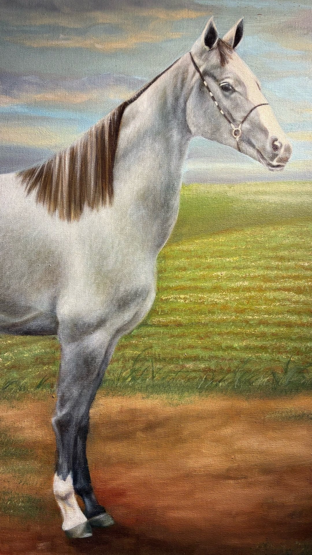 Quadro Pintura a Óleo - Retrato de Cavalo Branco