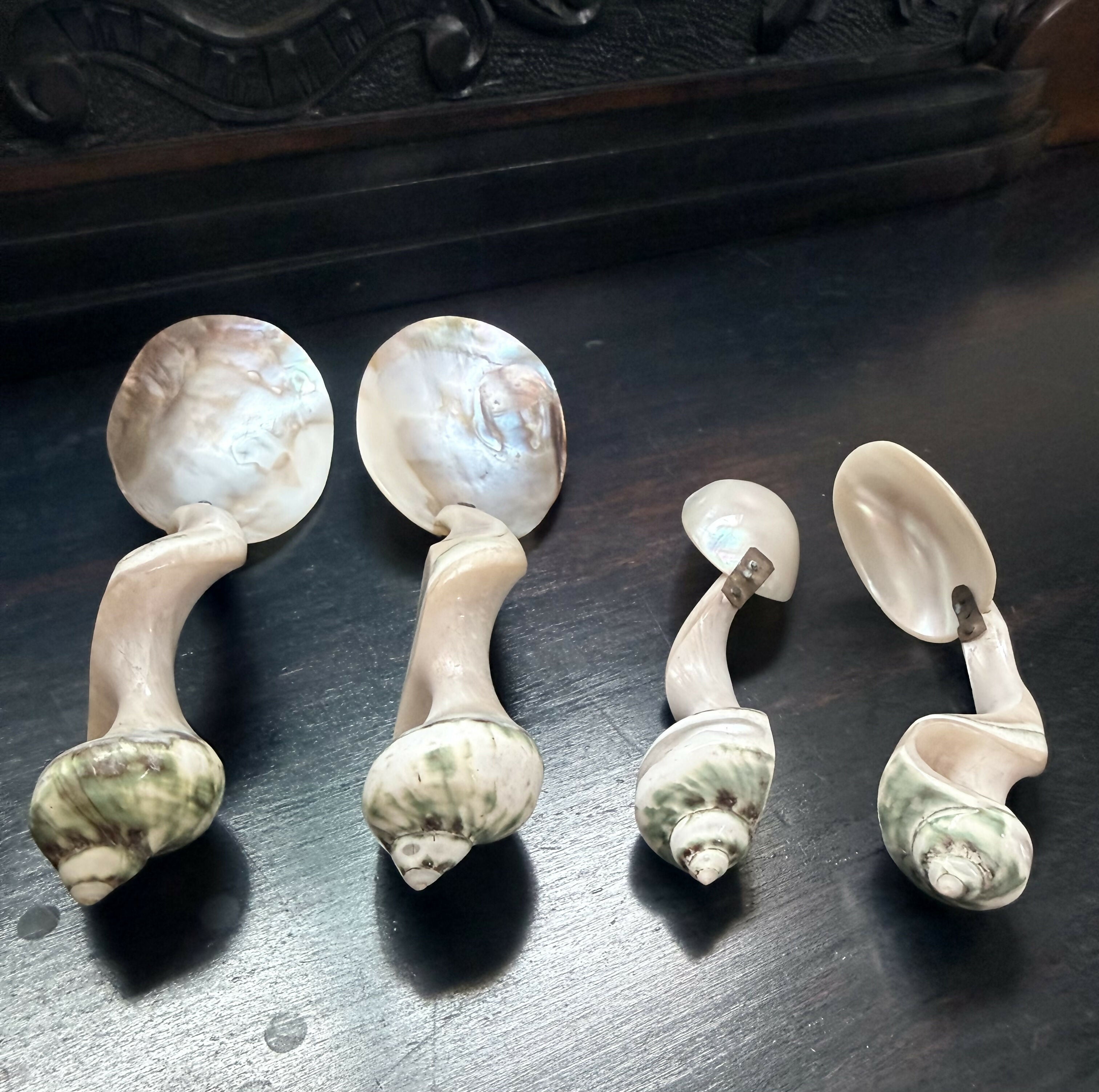 Colheres Esculturais em Madrepérola e Concha — Conjunto Vintage de Caráter Colecionável