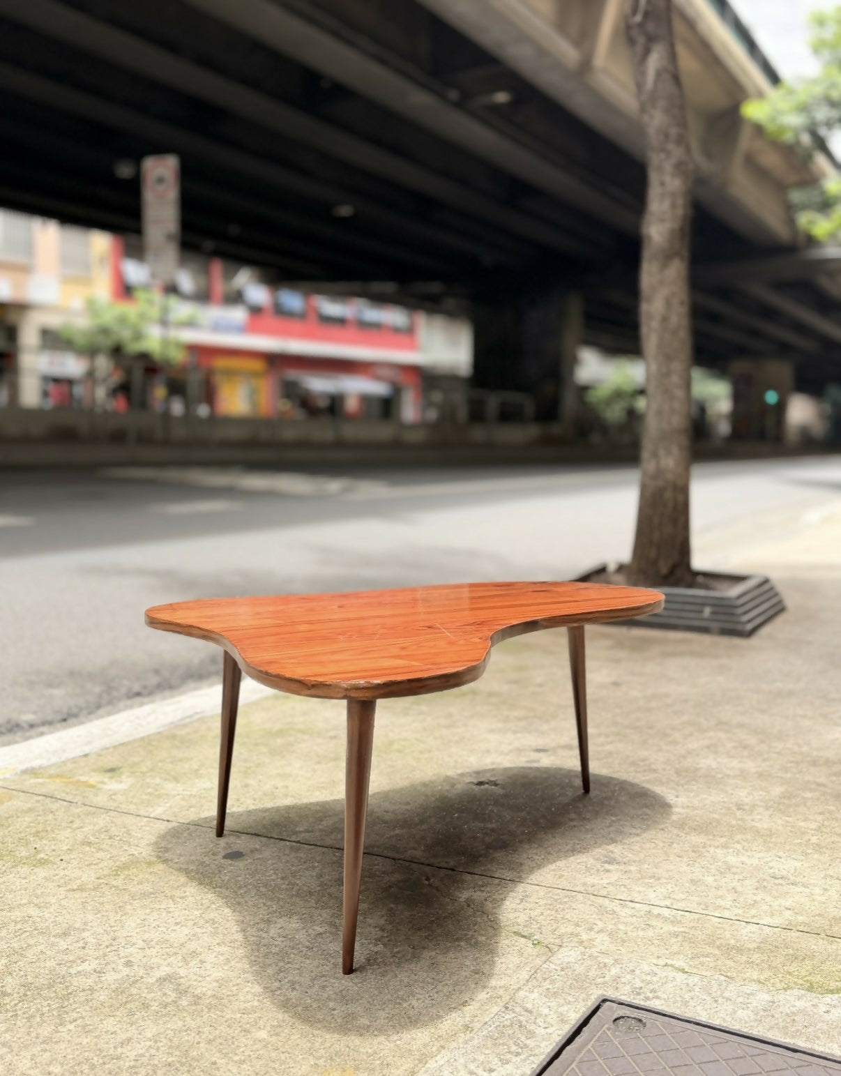 Mesa de Centro Orgânica