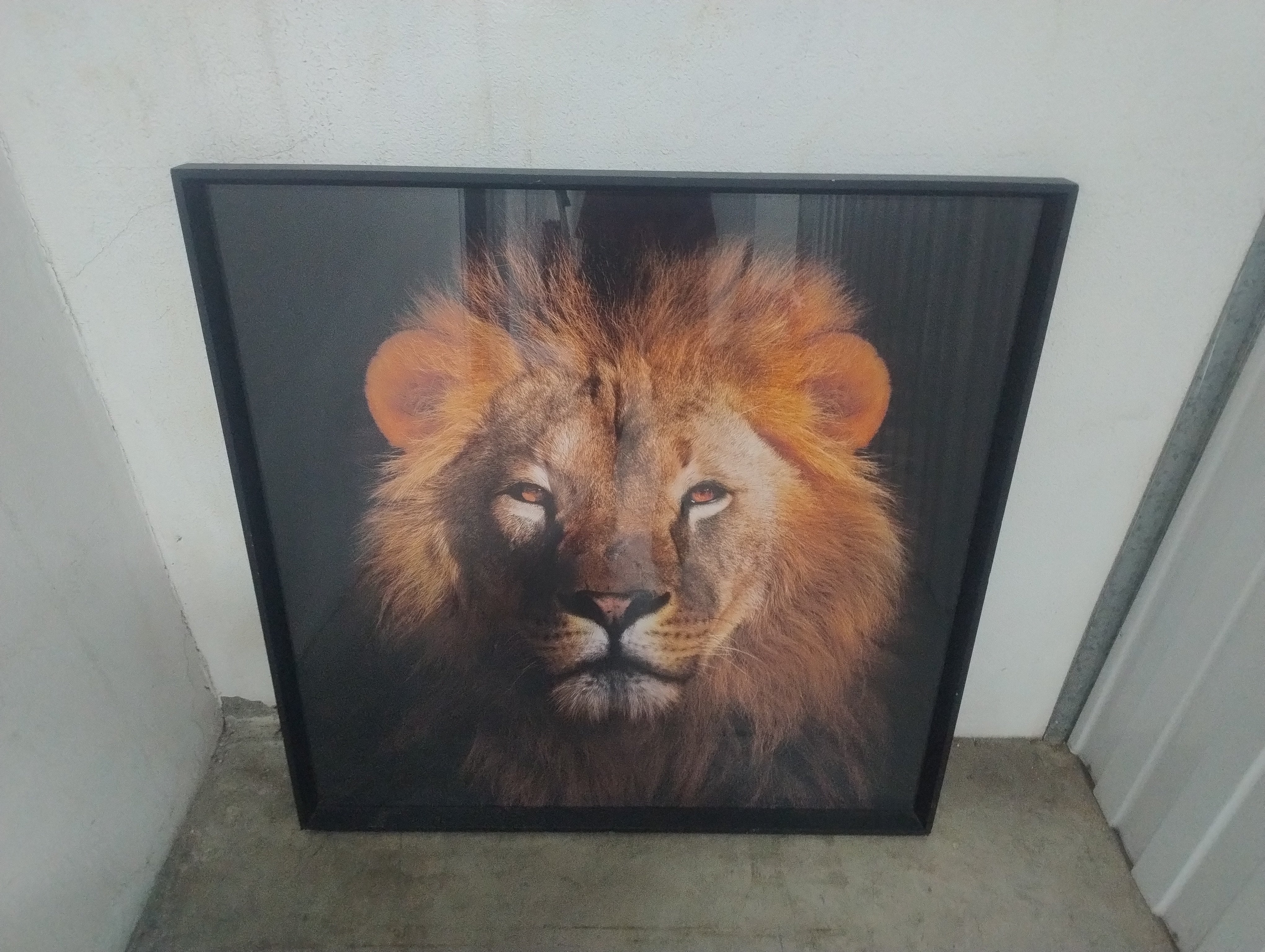 Quadro Decorativo Leão com Vidro