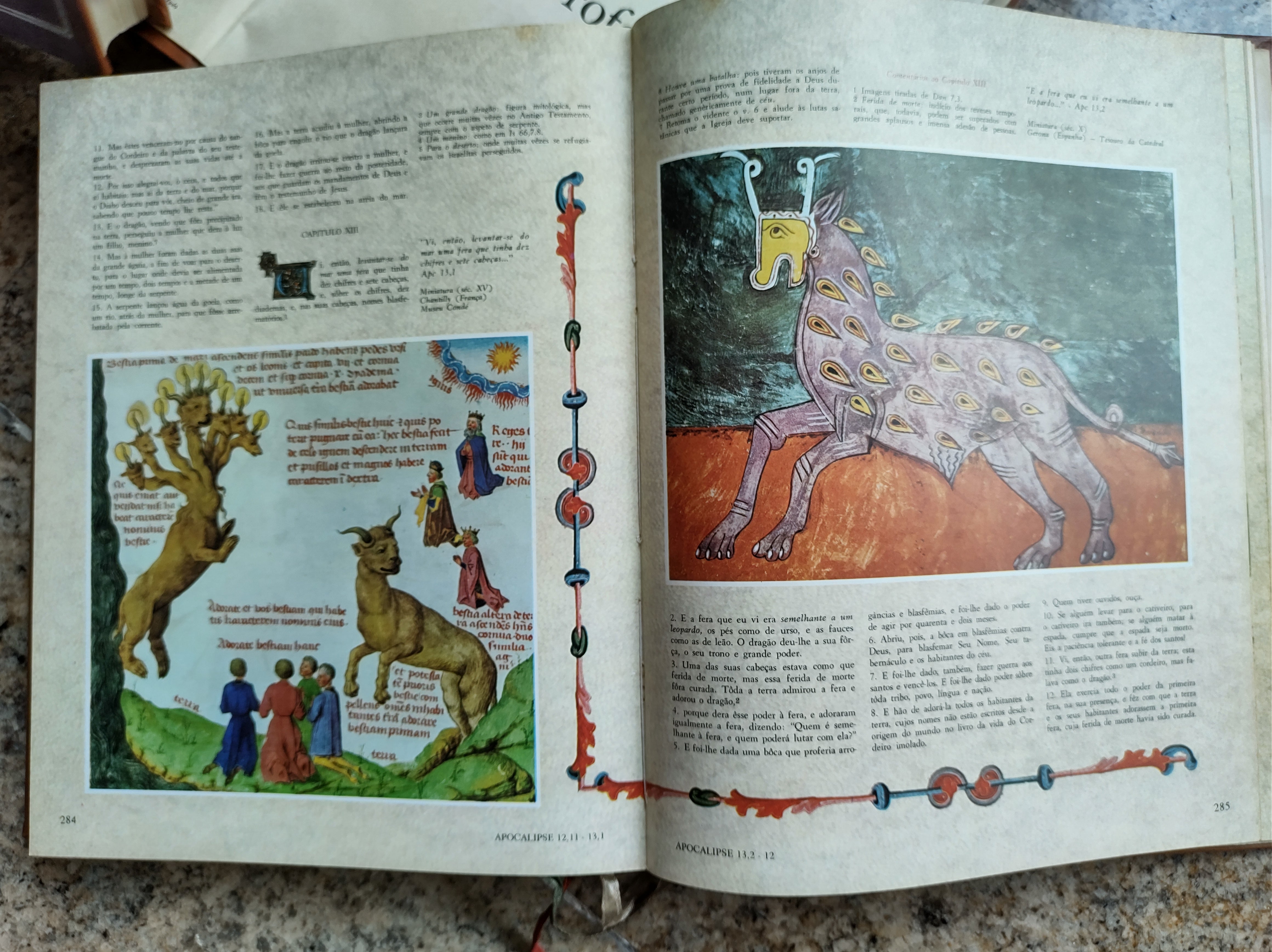 Coleção A Bíblia com 7 volumes ilustrados + 149 encartes/ Livros dos Anos 1960