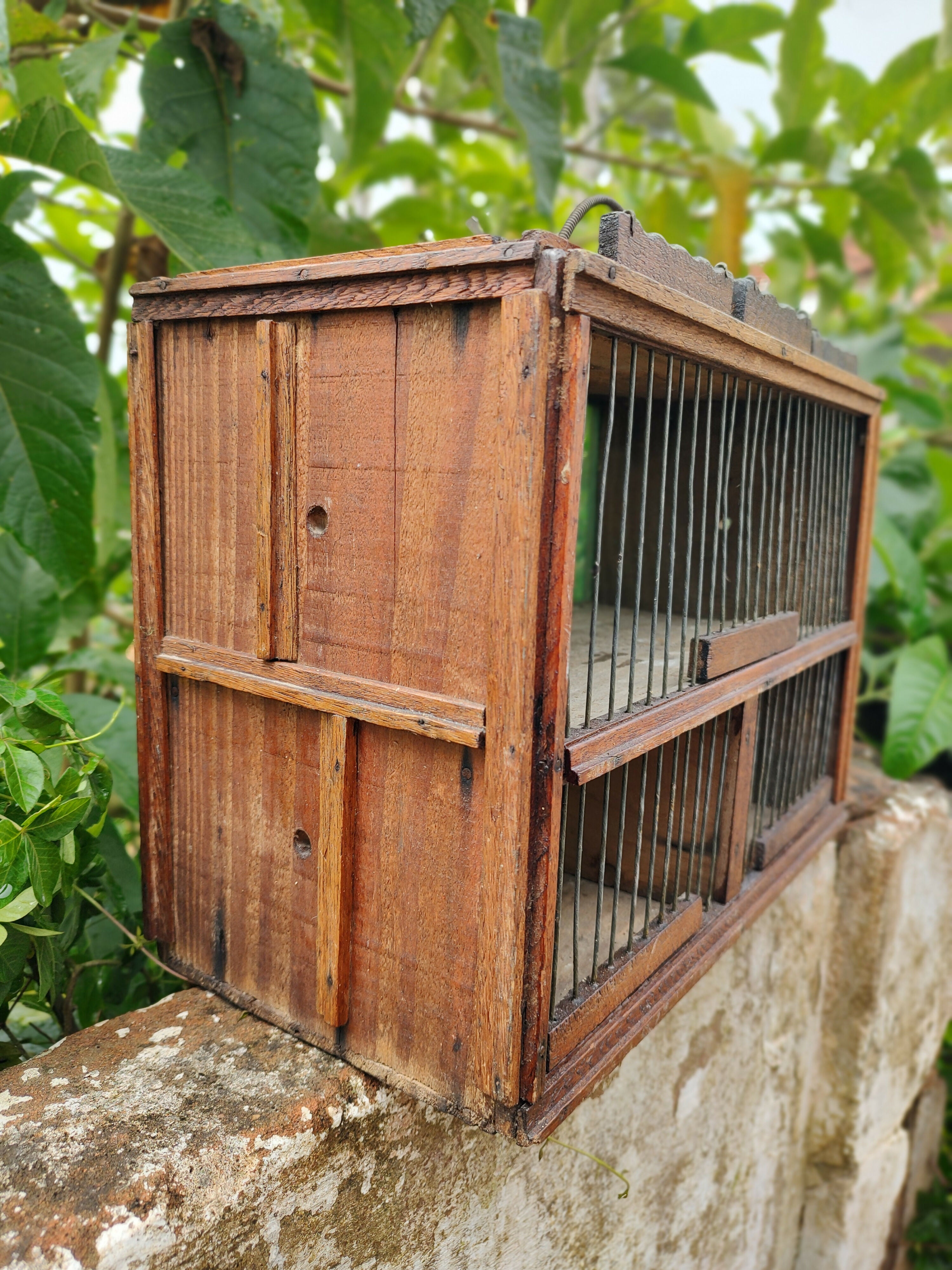 Antiga Gaiola Artesanal / Mala de transportar pássaros, feita em madeira - anos 60