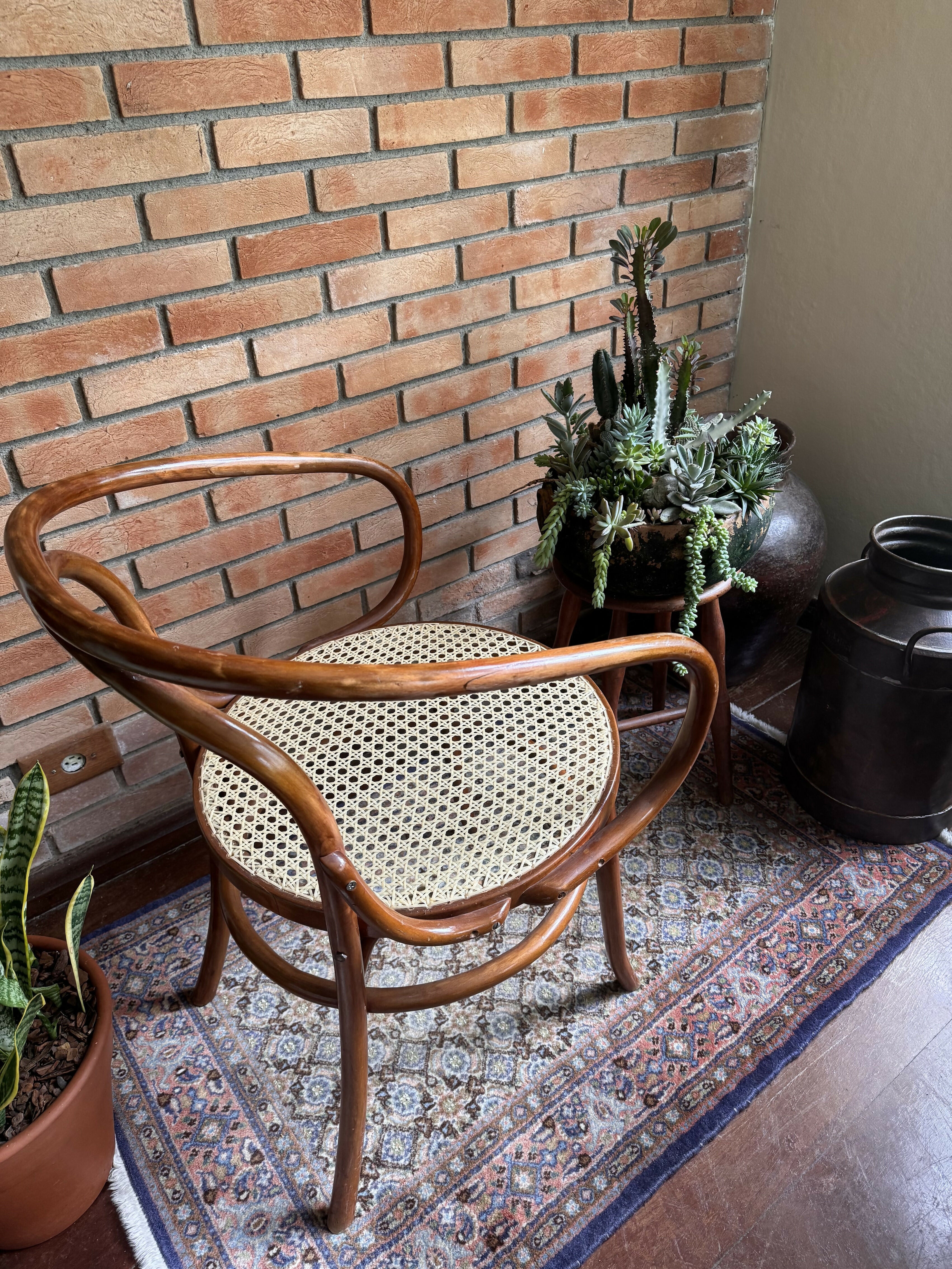 Poltrona Gerdau Thonet - modelo raro de encontrar